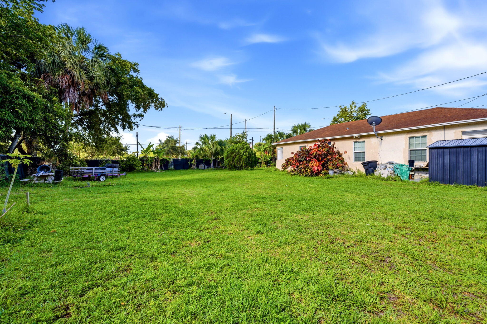 Blanche Ely - Residential