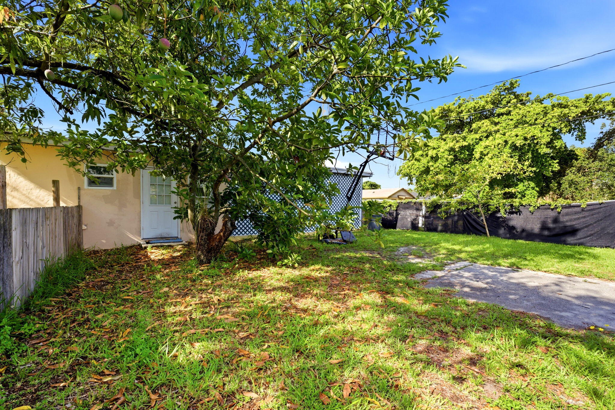 Blanche Ely - Residential