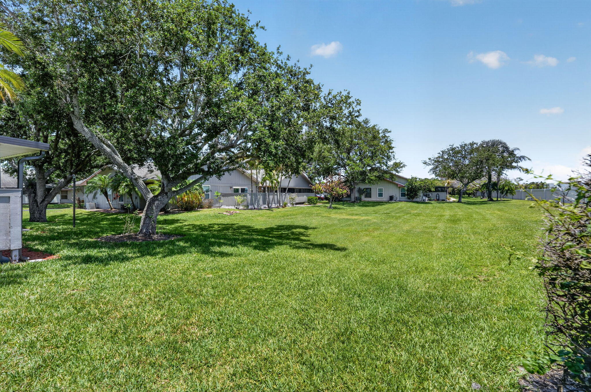 CINNAMON TREE - Residential