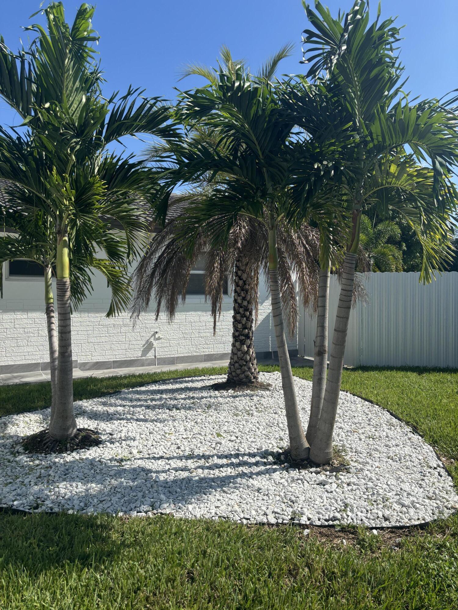 PALM RIDGE ESTATES 1 - Residential