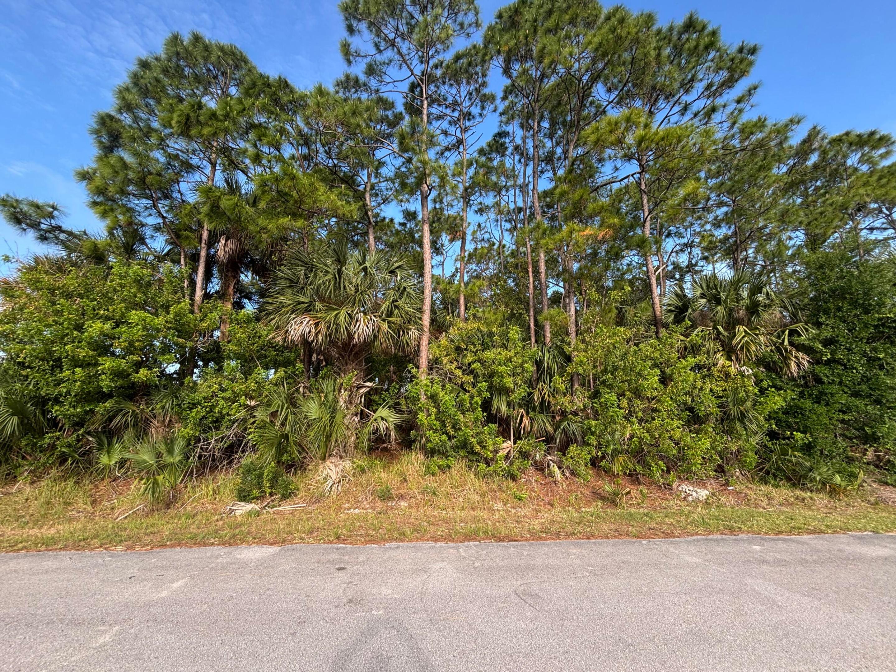 Great opportunity to own a residential vacant lot in NE Palm Bay! This property offers the perfect setting to build your dream home or invest in a growing area. Features city water and sewer—a rare and highly sought-after combination. Sewer lots are limited and in high demand among builders, making this a standout opportunity. The parcel will require clearing and is ready to be built to your specifications. Located in a quiet neighborhood just off Americana Blvd, and just minutes from Malabar Rd and Palm Bay Rd with convenient access to shopping, dining, banking, and I-95. Opportunities like this are becoming harder to find, don't miss your chance to secure it before it's gone! Cash or conventional financing accepted.