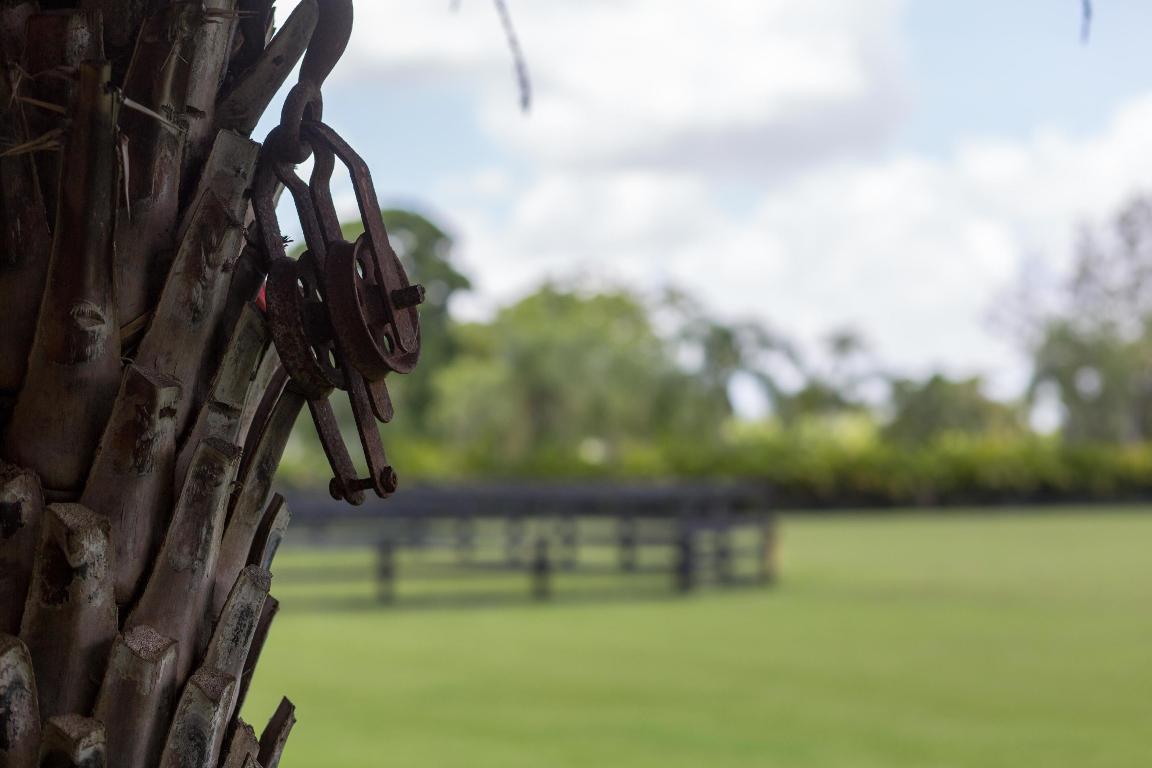 PALM GLADE RANCHES UNREC PL - Residential