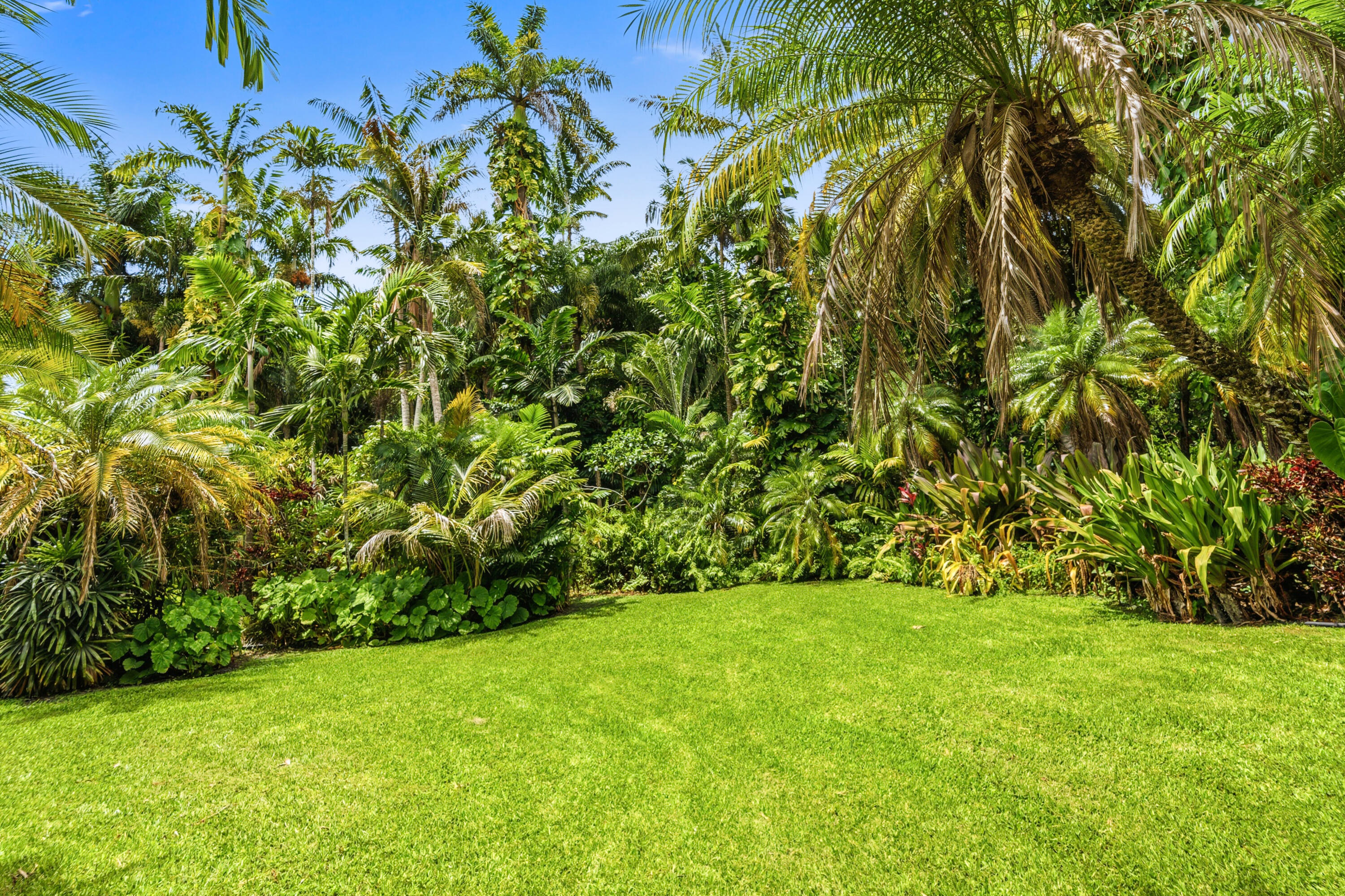 MARTHA BRIGHT FARMS - Residential
