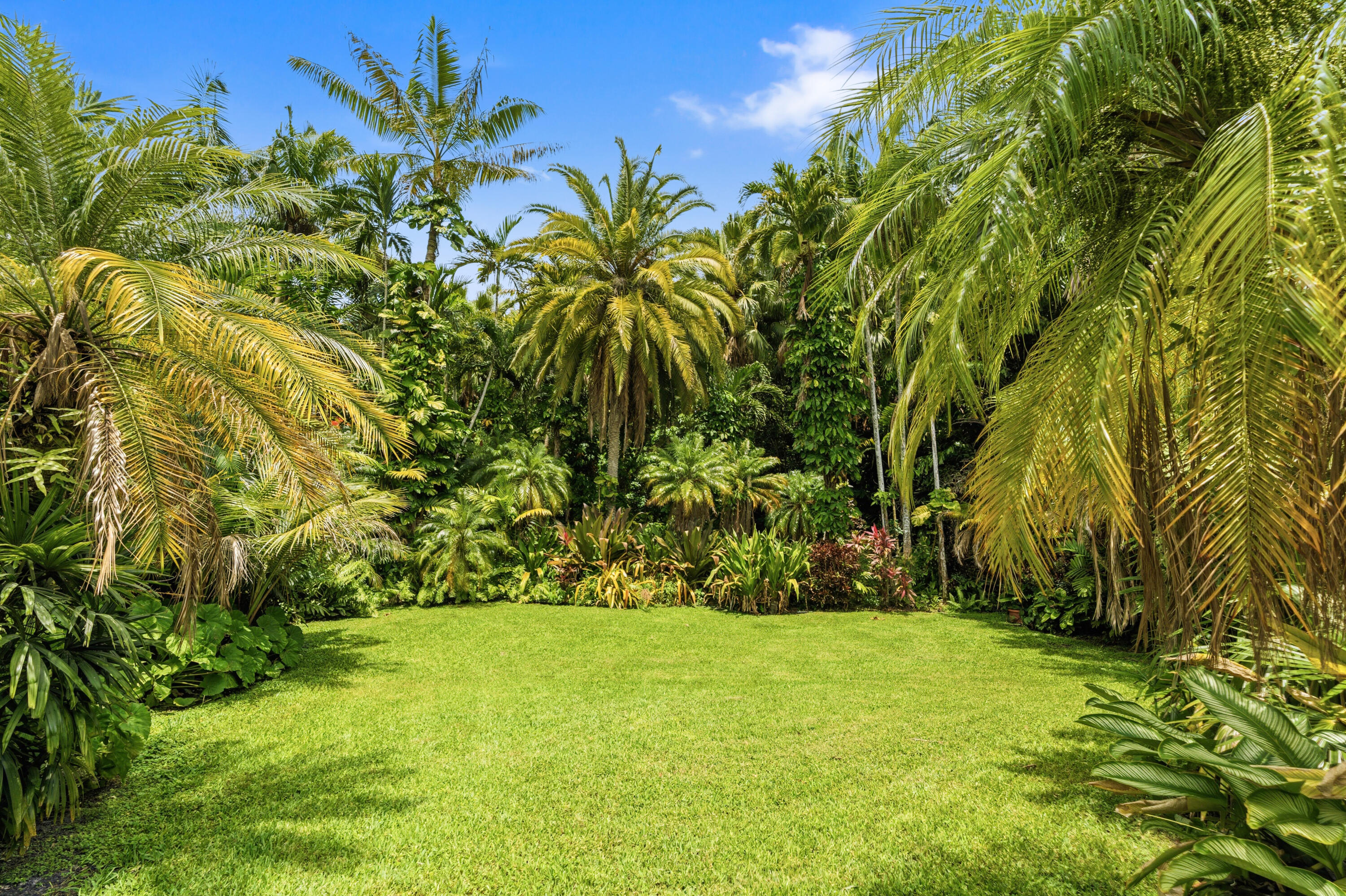 MARTHA BRIGHT FARMS - Residential