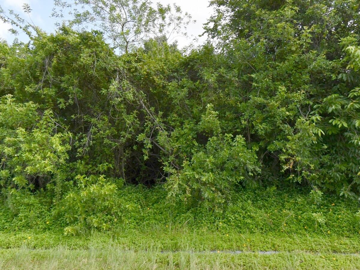 In the beautiful Port Saint Lucie,minutes to the beach. Build your dream home on this 10,000± sq ft parcel/1/4 of an acre in a quiet residential section of Port St. Lucie. Tucked away from major roadways, this lot offers a peaceful neighborhood setting with existing homes nearby, providing a sense of community. Residential Zoning.Public water and sewer available, making the building process more streamlined. No HOA means flexibility in design, landscaping, and lifestyle.Conveniently located near parks, beaches, and just a short drive to the shops and dining at Tradition Square. An ideal opportunity to secure land in a growing area while enjoying privacy and accessibility. No HOA restrictions, full design freedom.Public water and sewer available.English, Espanol, Portugues, Kreyole.