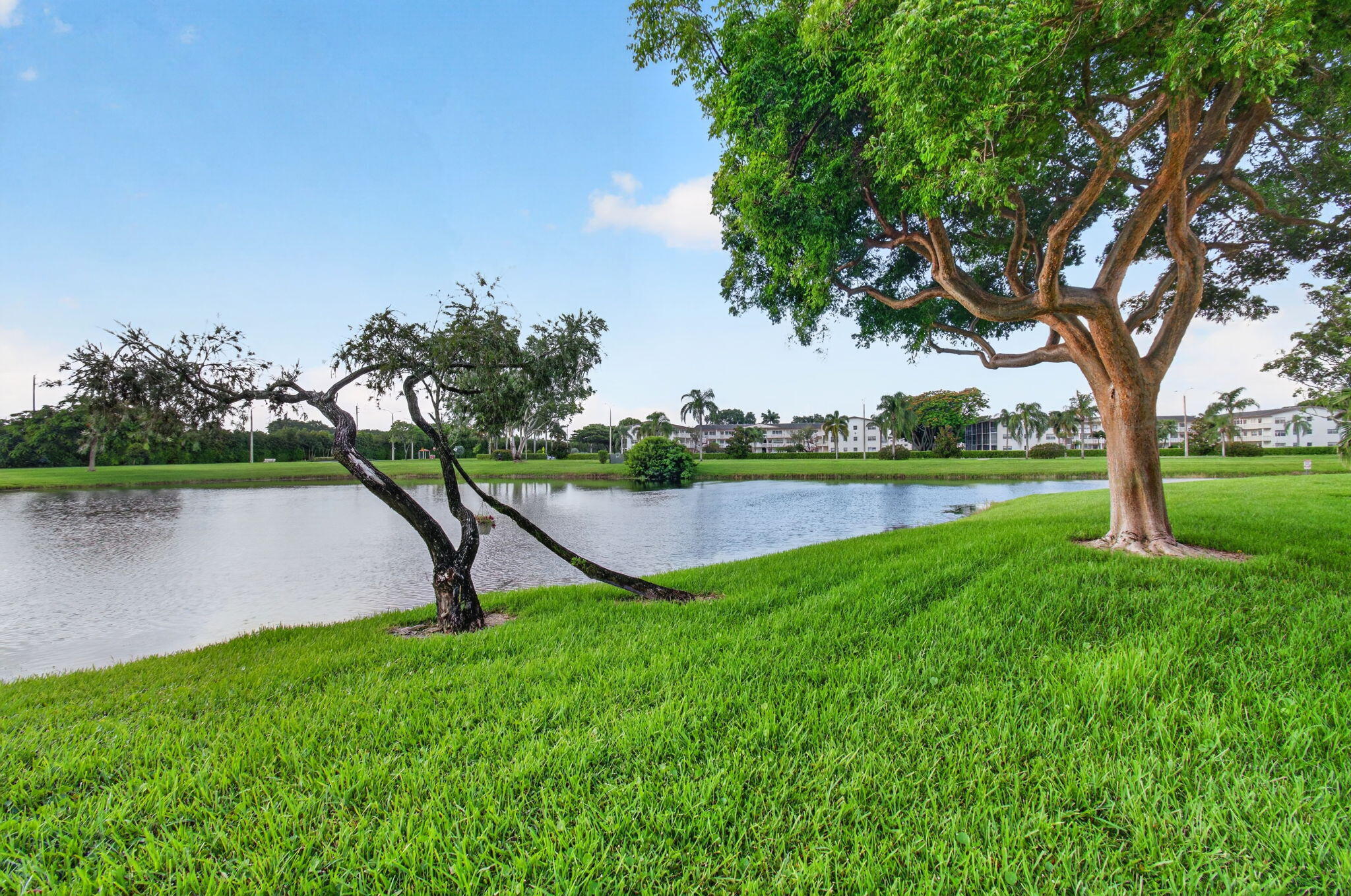 CENTURY VILLAGE - Residential