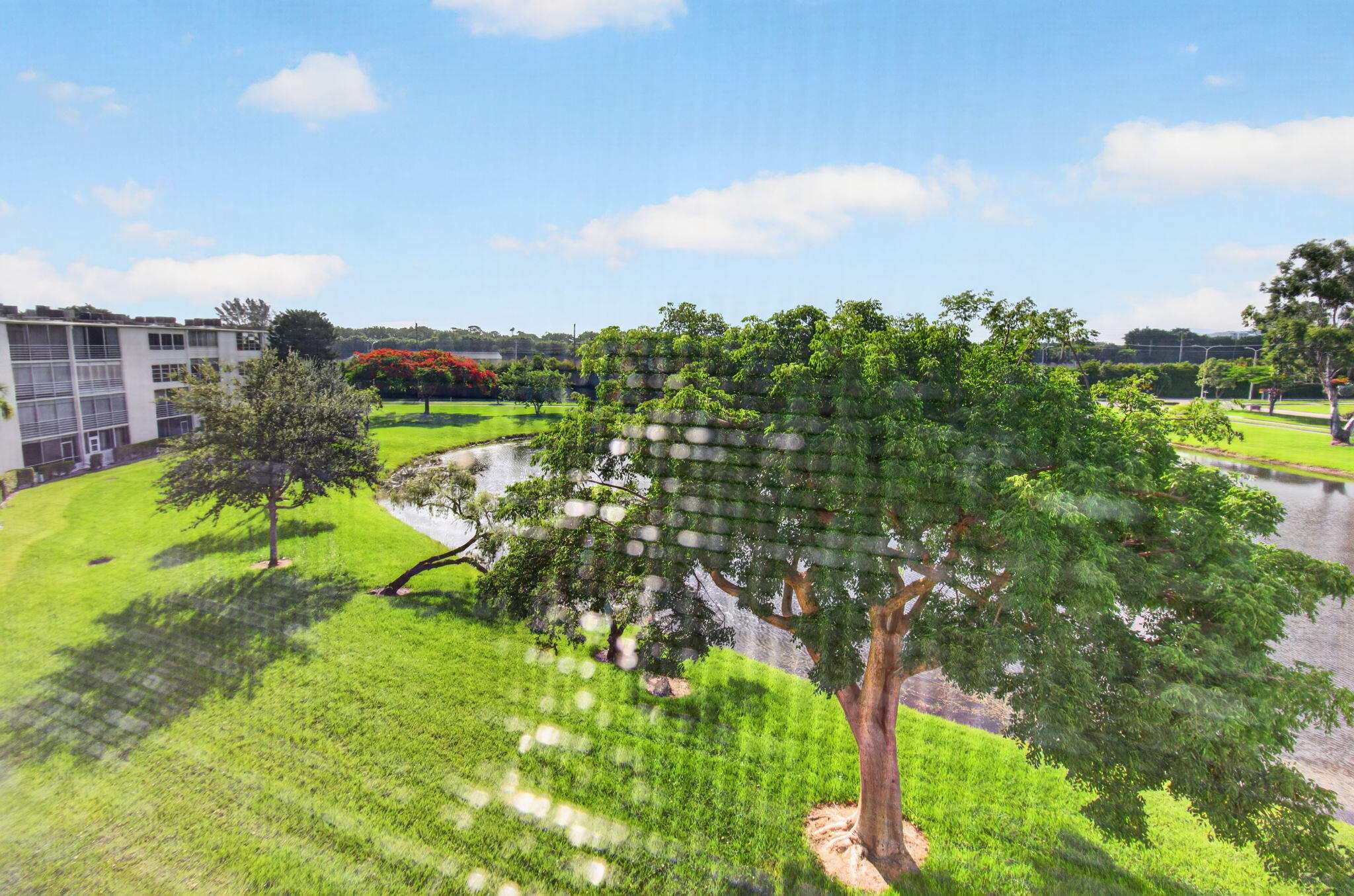 CENTURY VILLAGE - Residential