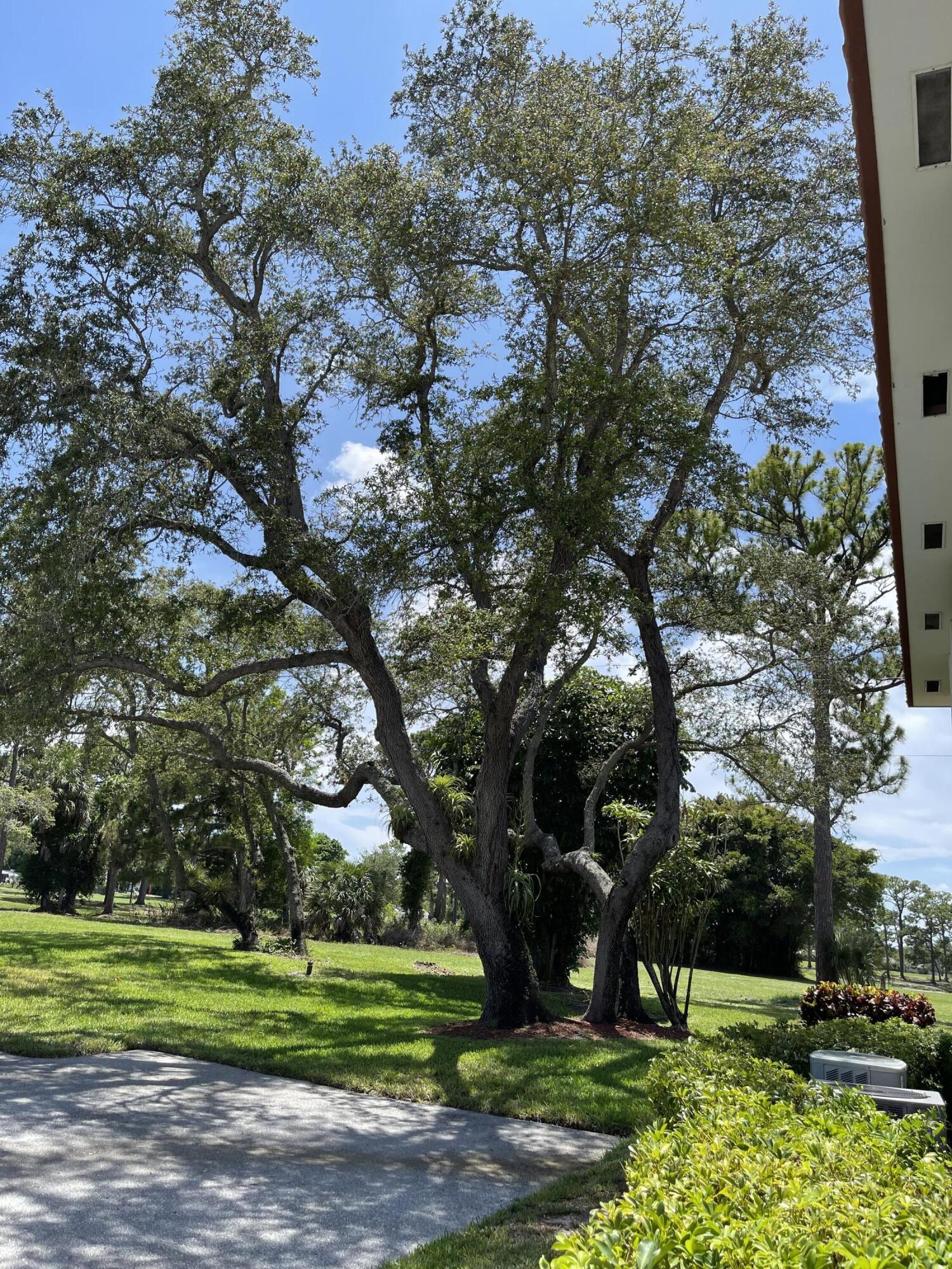VISTA DEL LAGO CONDO - Residential Lease