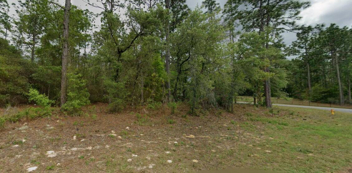 CITRUS SPRINGS UNIT 06 - Land