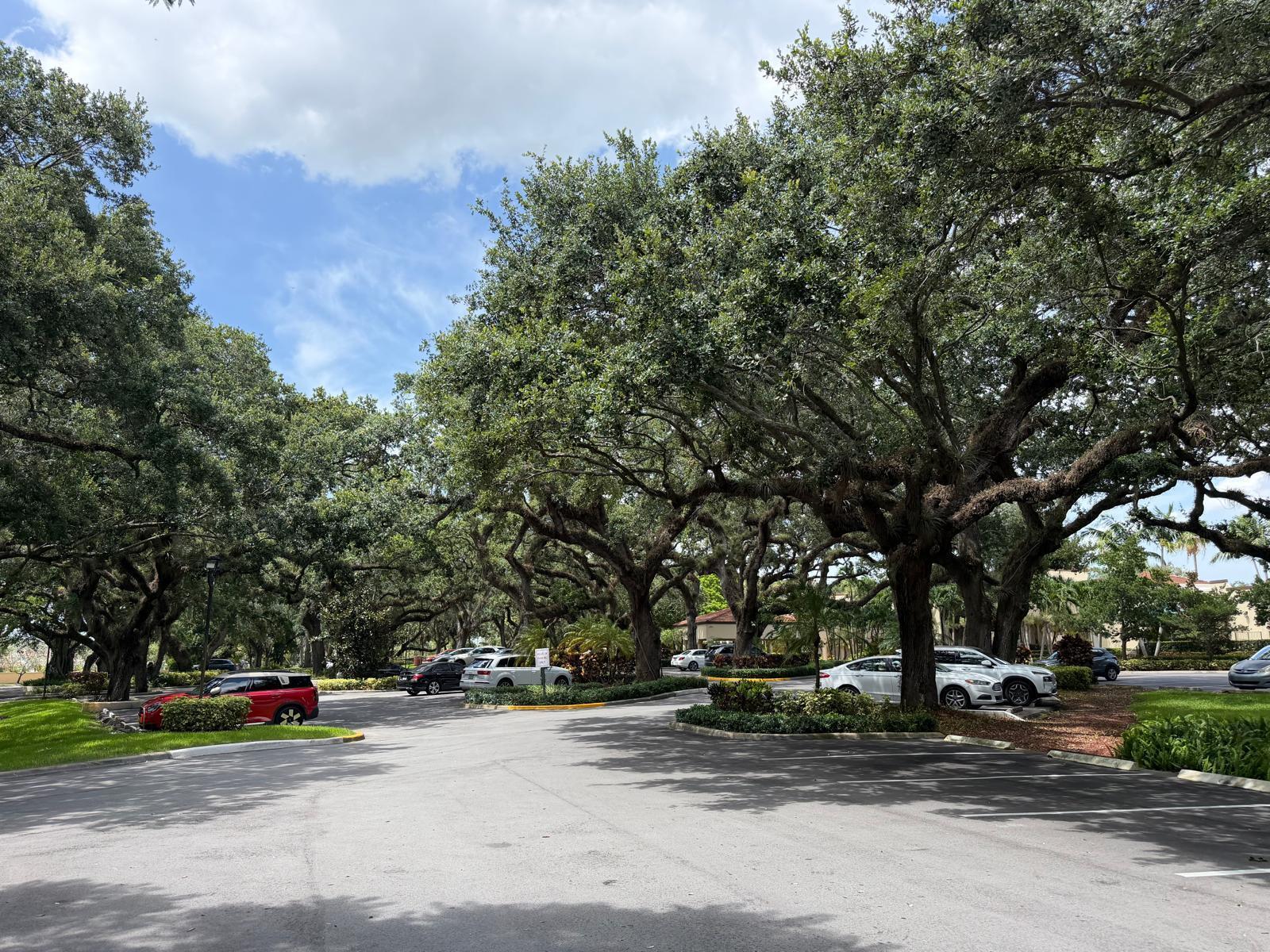 LIVE OAK CONDO NINE - Residential Lease