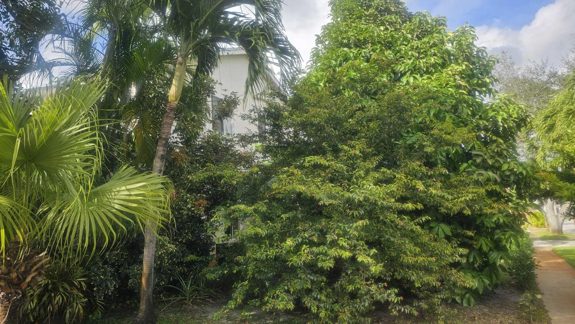CINNAMON PLACE V - Residential