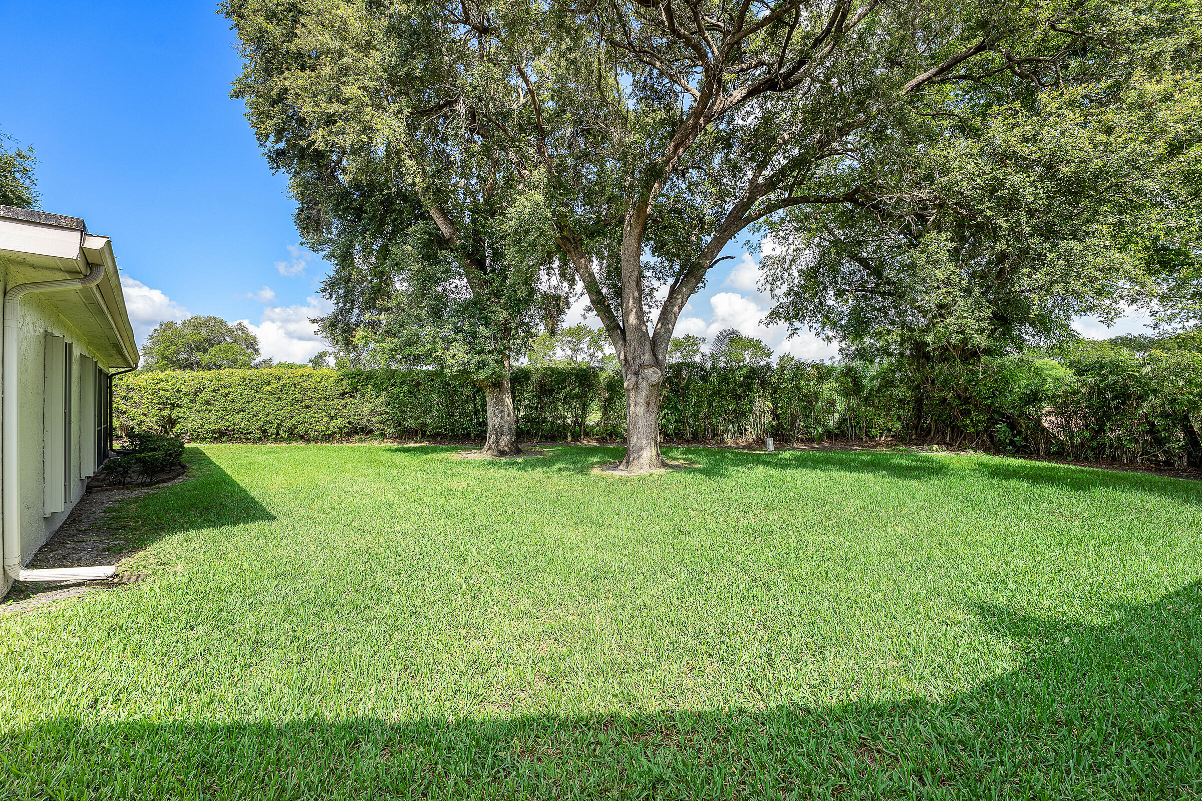 CLOVERFIELD - Residential