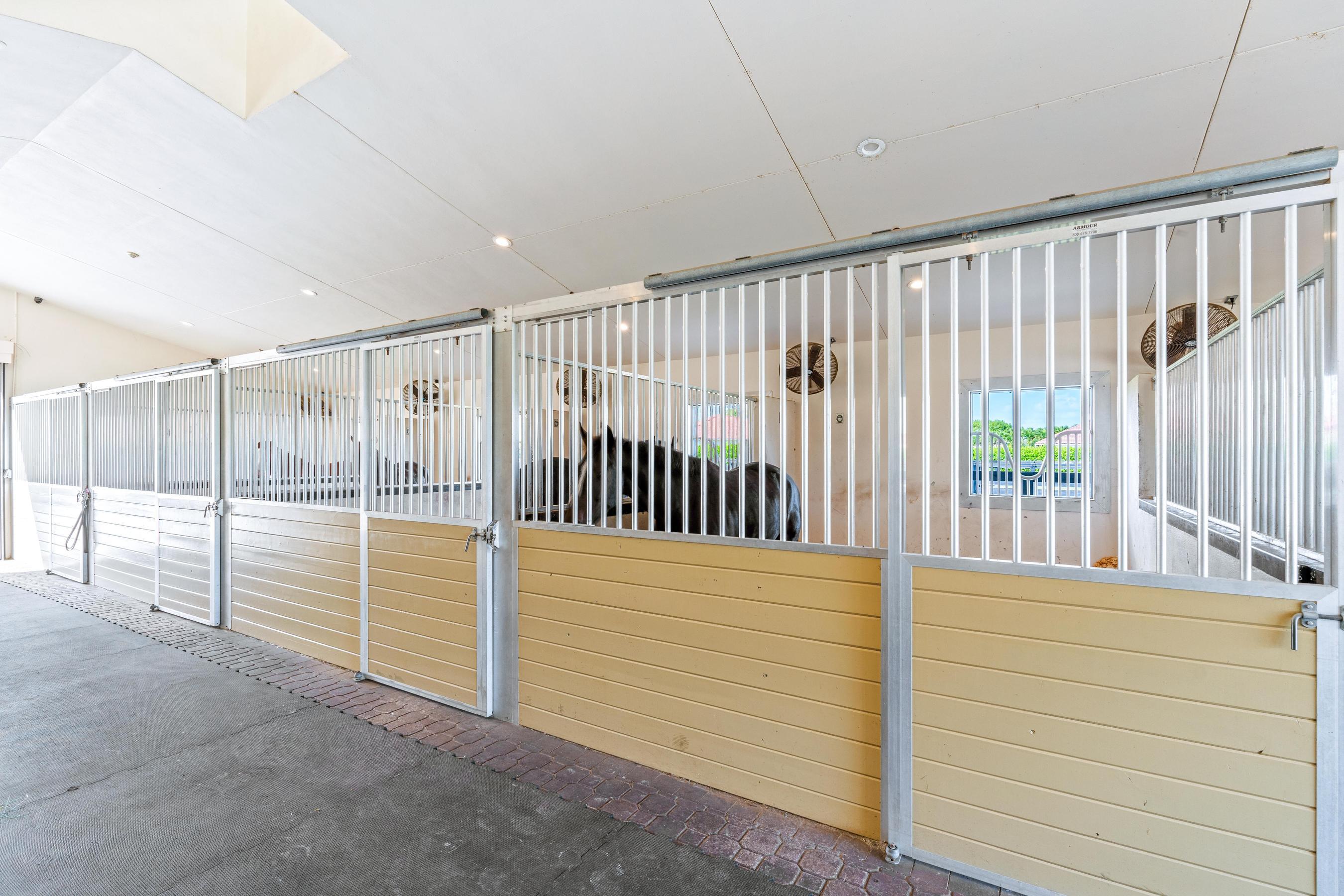 PADDOCK PARK NO 2 OF WELLINGTON - Residential