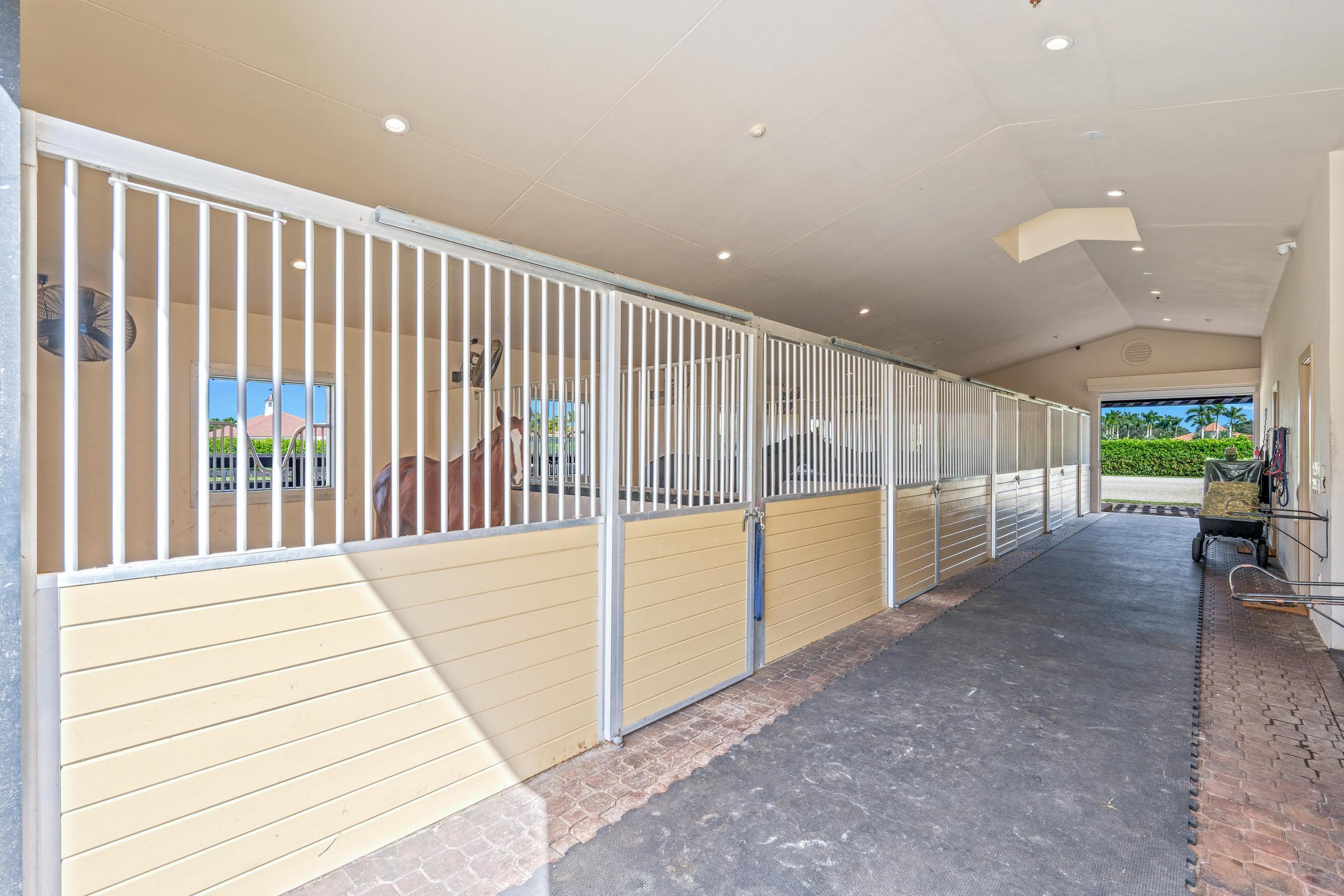 PADDOCK PARK NO 2 OF WELLINGTON - Residential