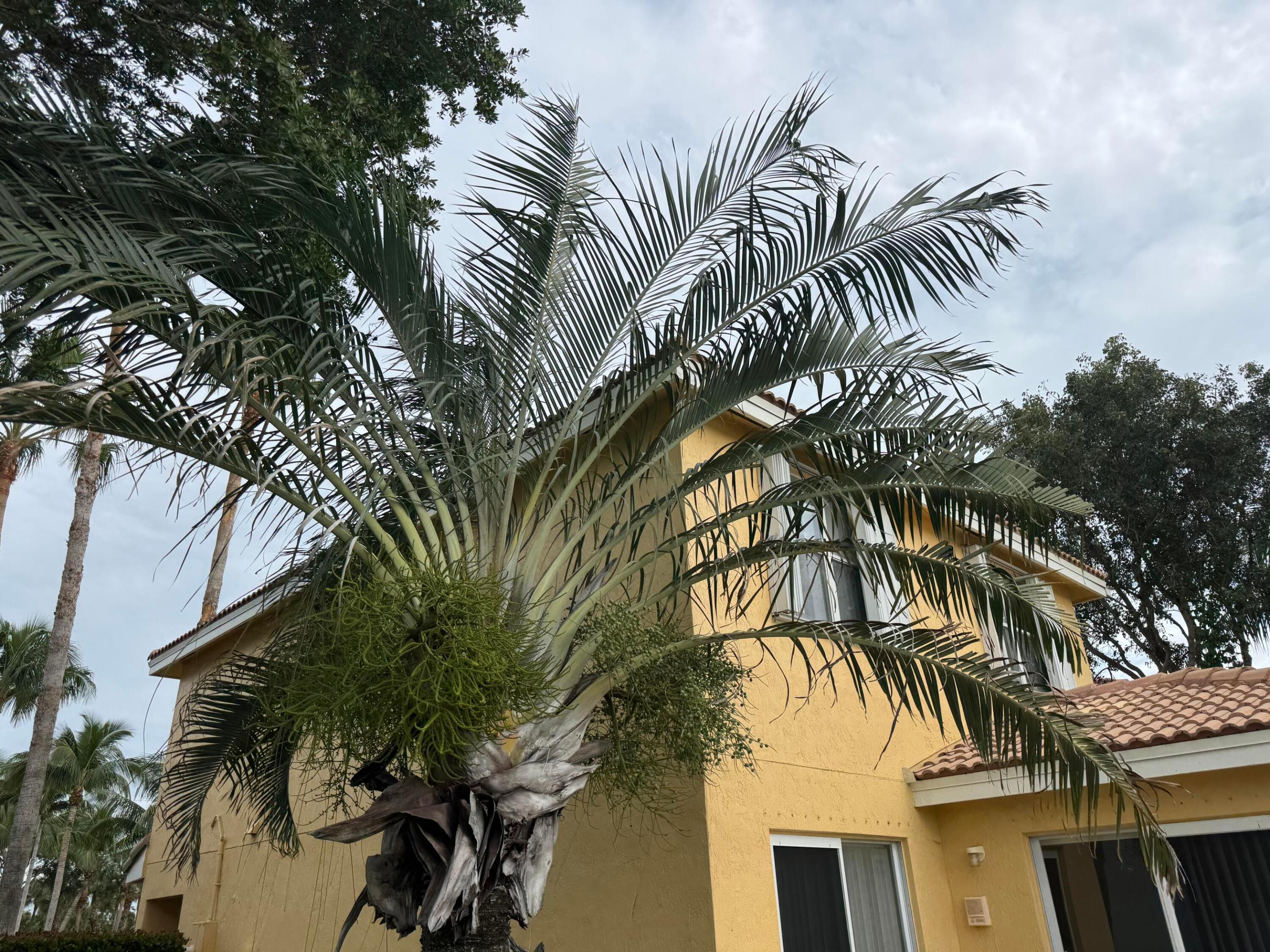 LIBERTY BAY - Residential Lease