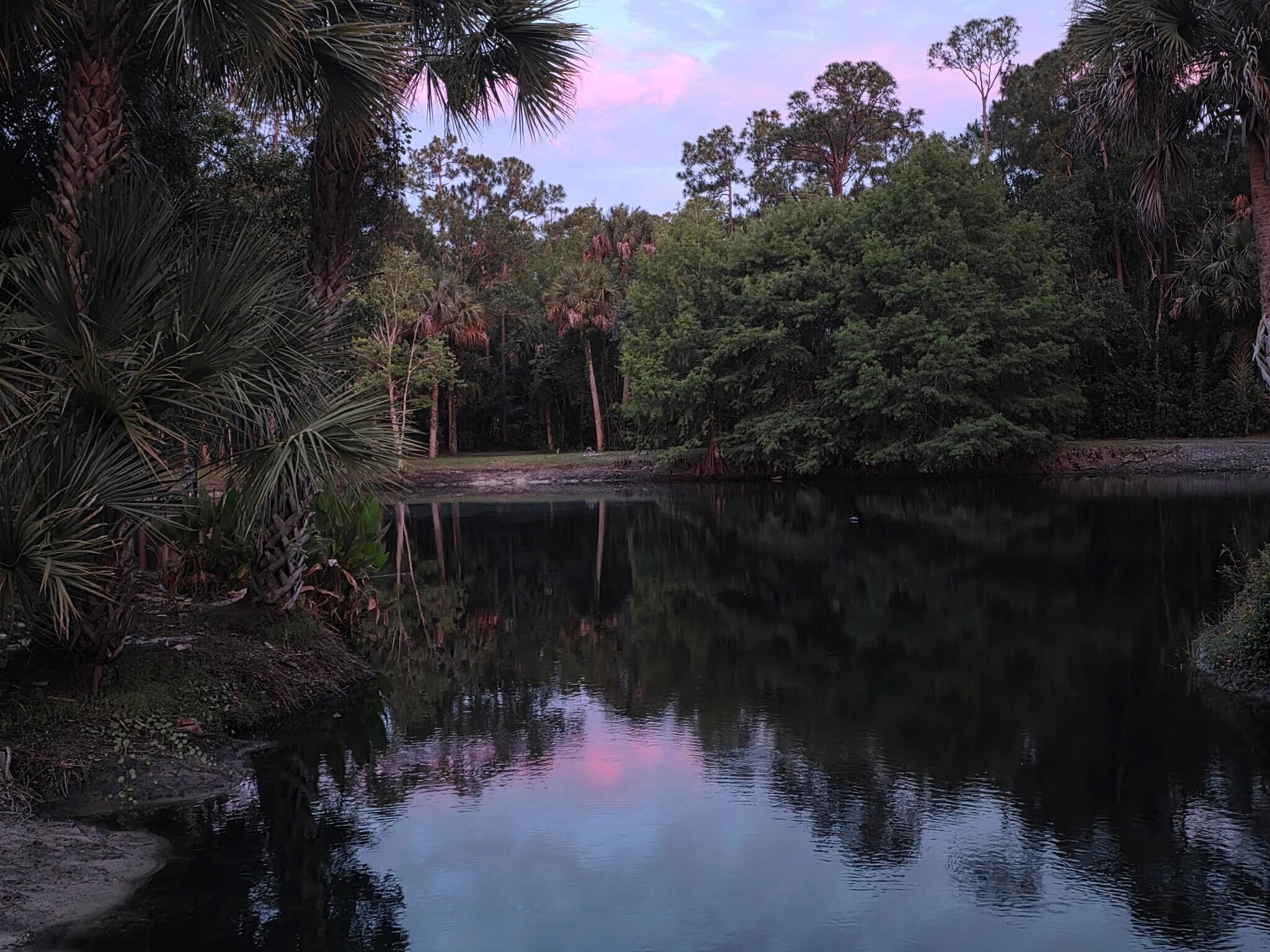 Palm City Farms - Residential