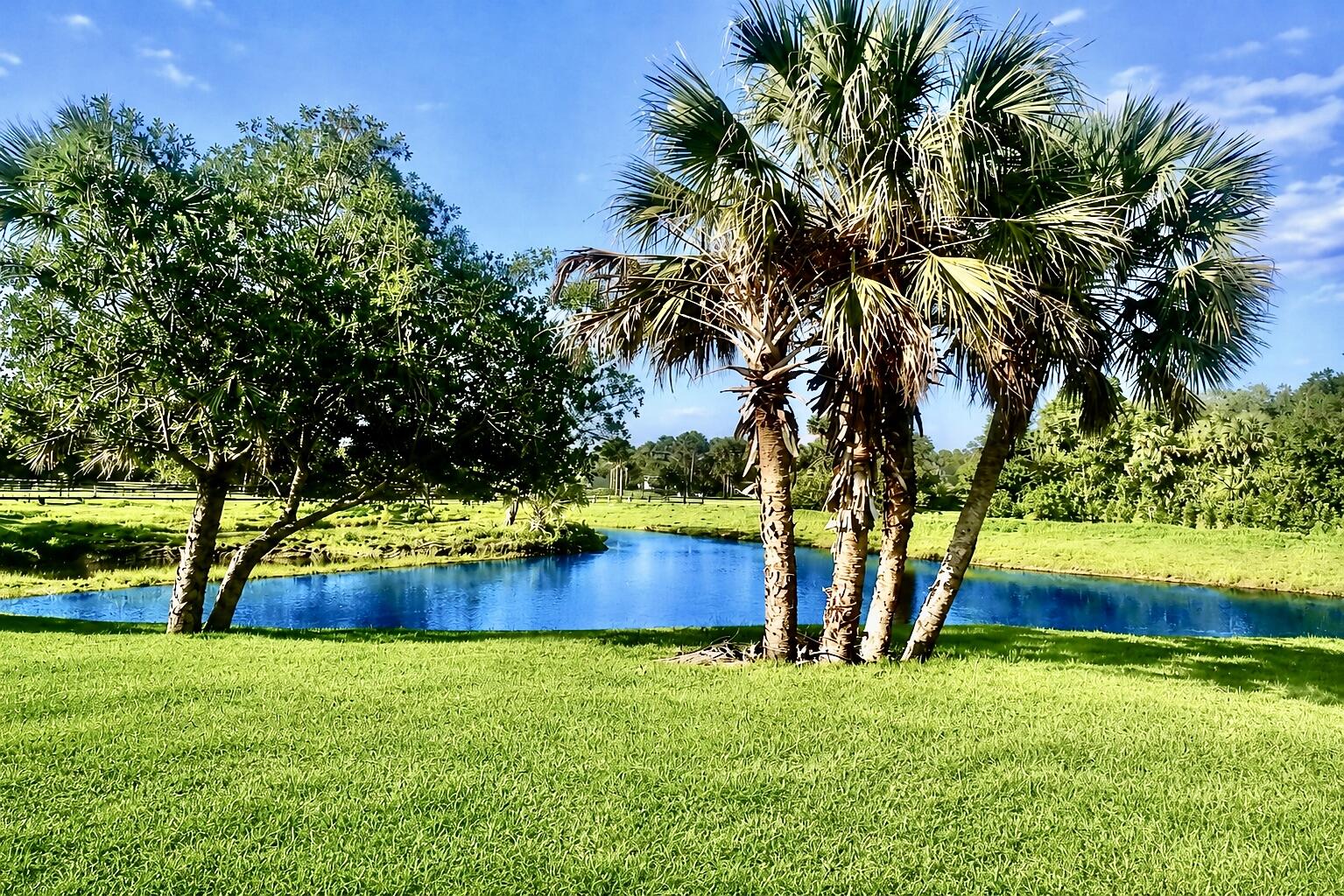 BRIDLEWOOD RANCHES - Land