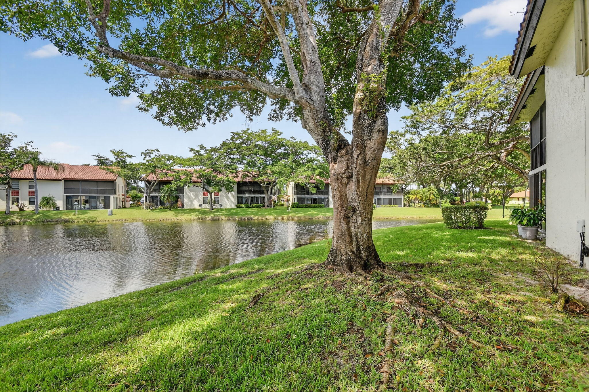 PALM CHASE CONDO - Residential