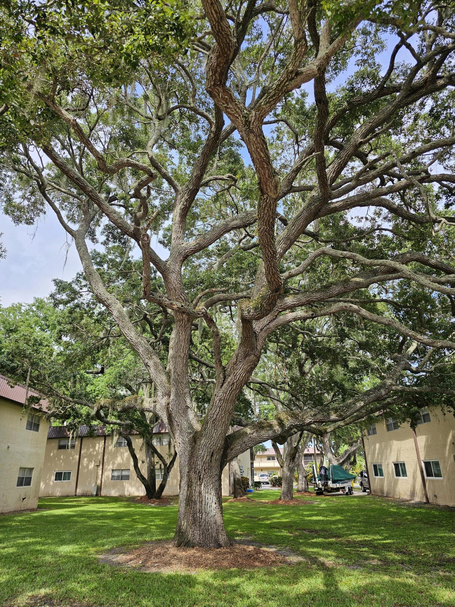 TAYLOR CREEK CONDOMINIUMS - Residential