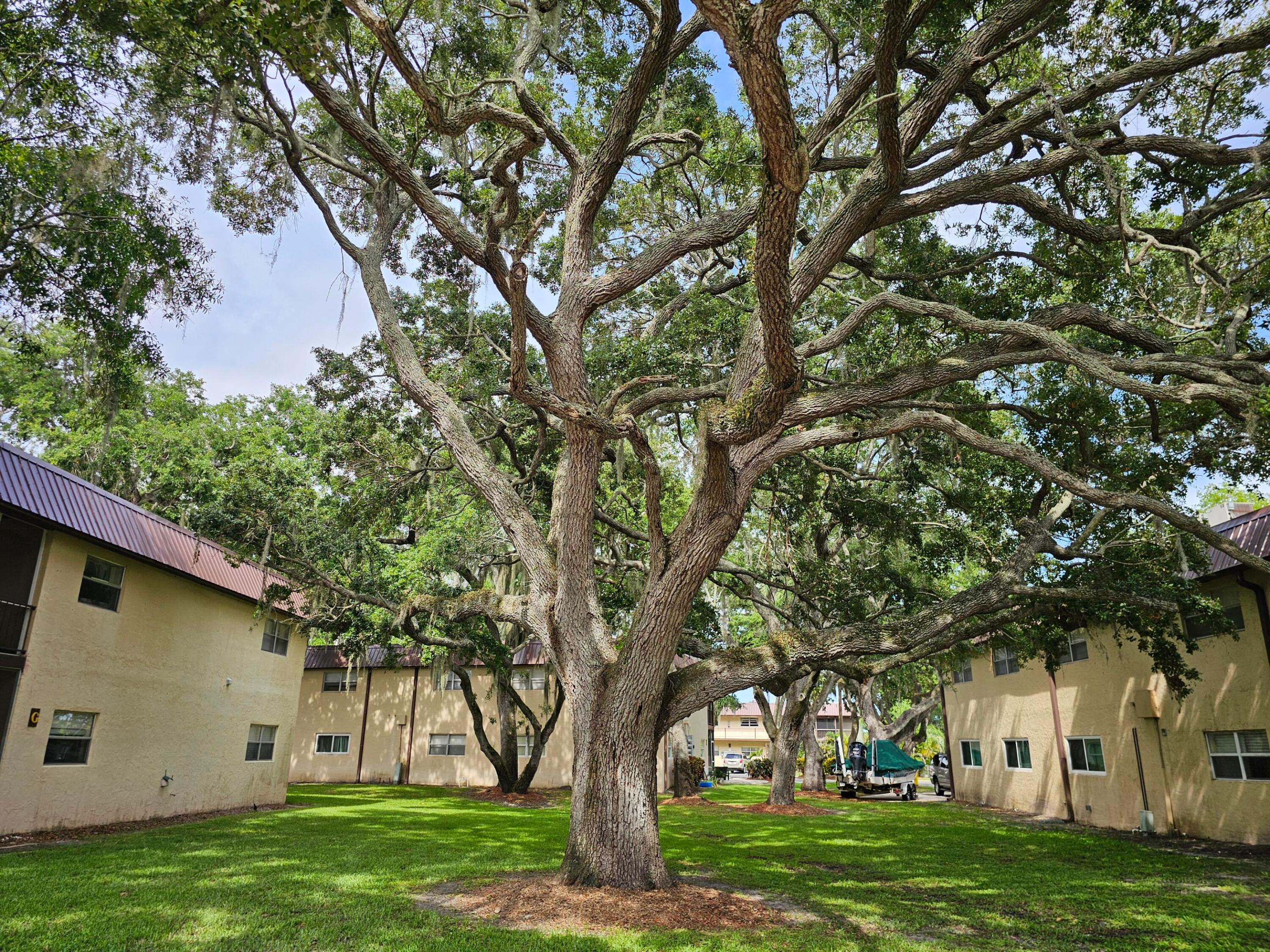 TAYLOR CREEK CONDOMINIUMS - Residential