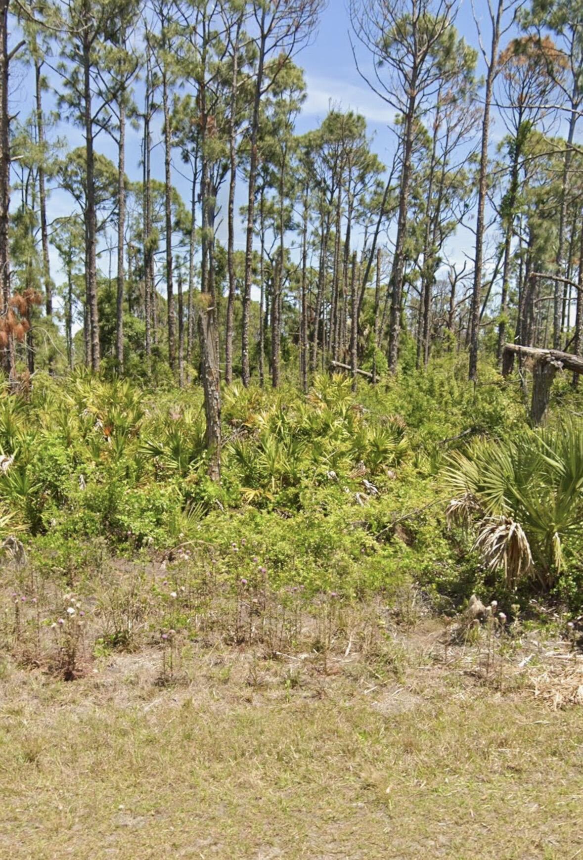 PORT CHARLOTTE SEC 95 - Land