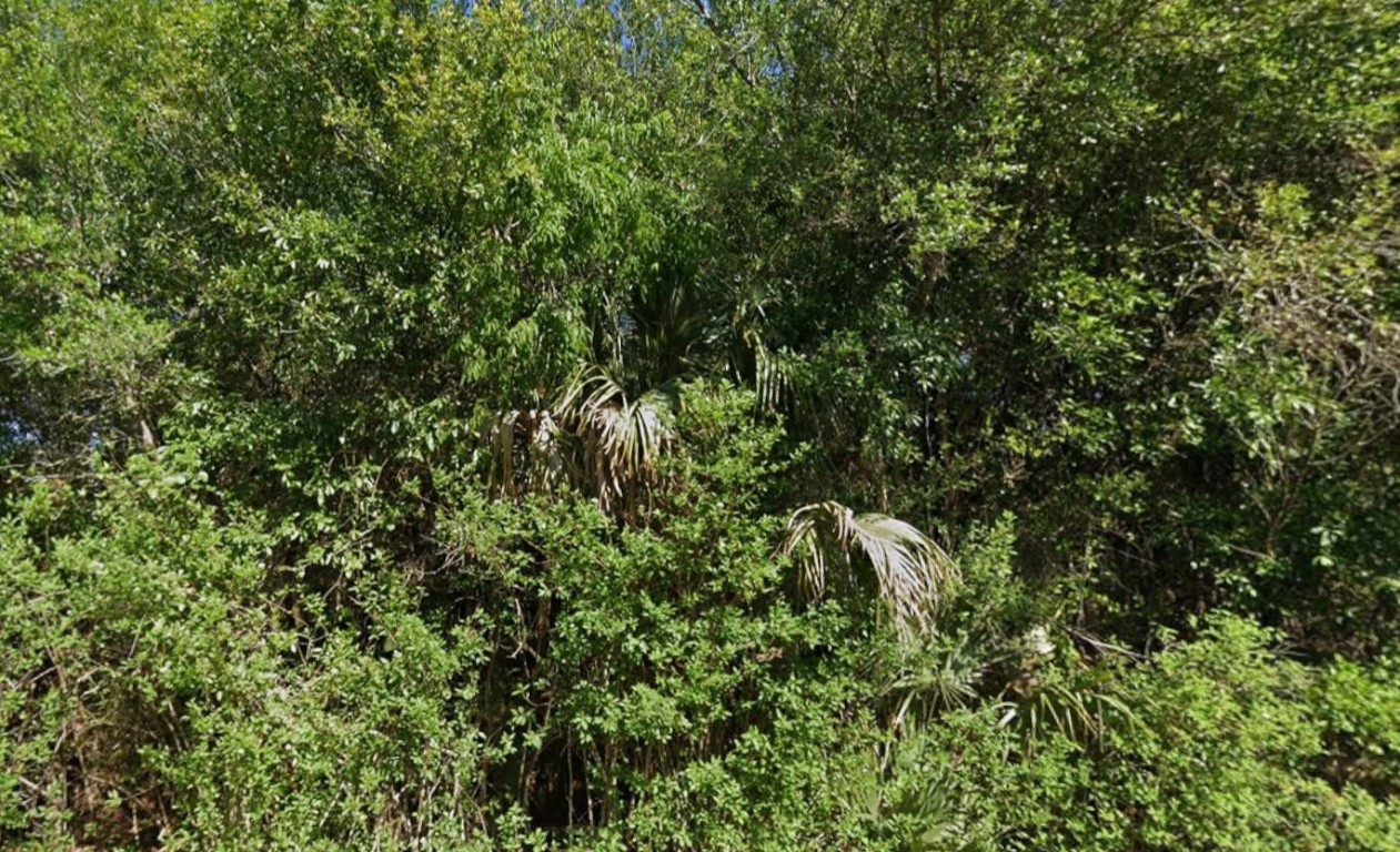 Lehigh Acres - Land