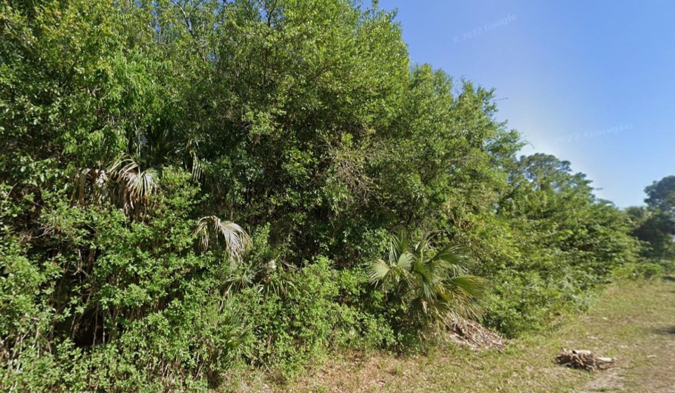 Lehigh Acres - Land