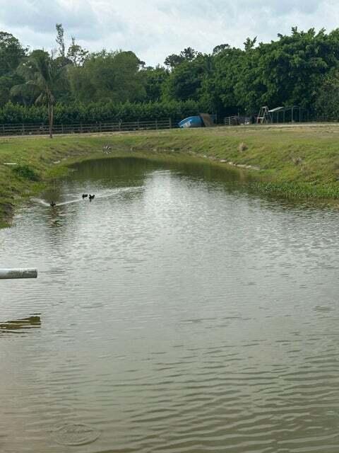 Rural - Land