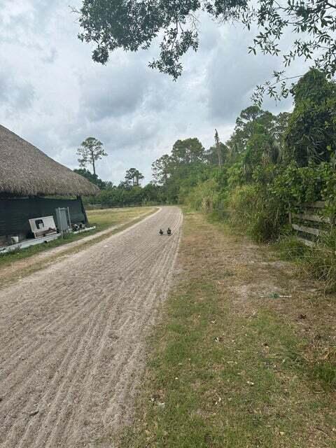Rural - Land