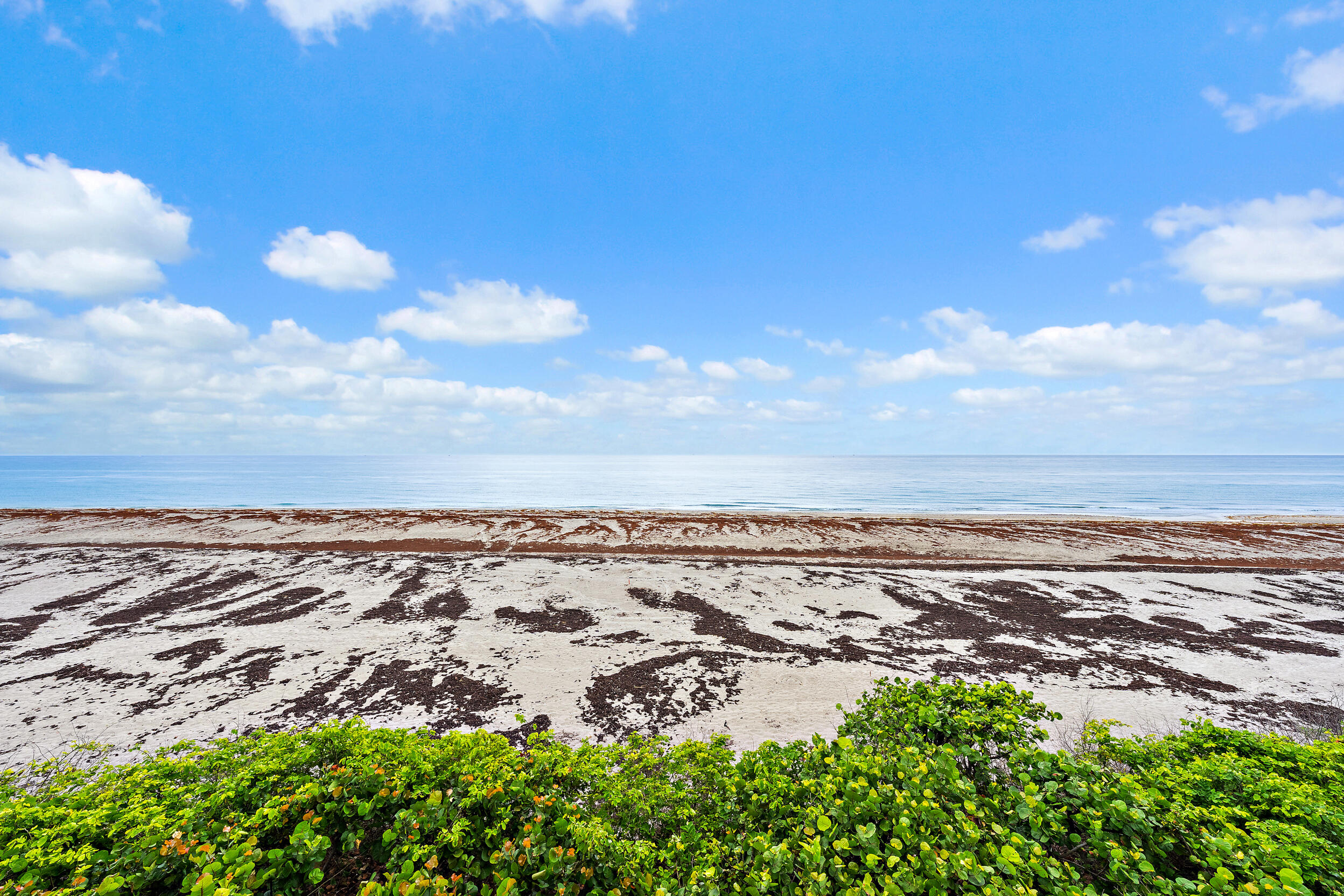 Juno By The Sea - Residential