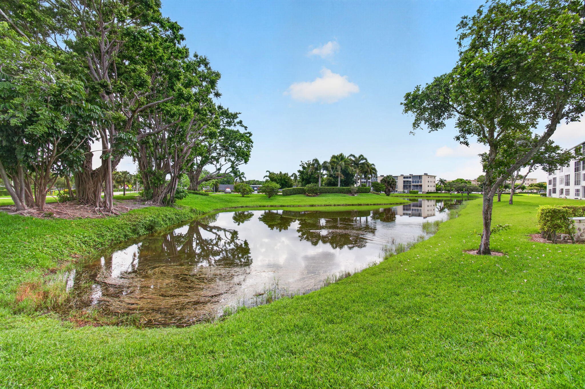 CENTURY VILLAGE - Residential