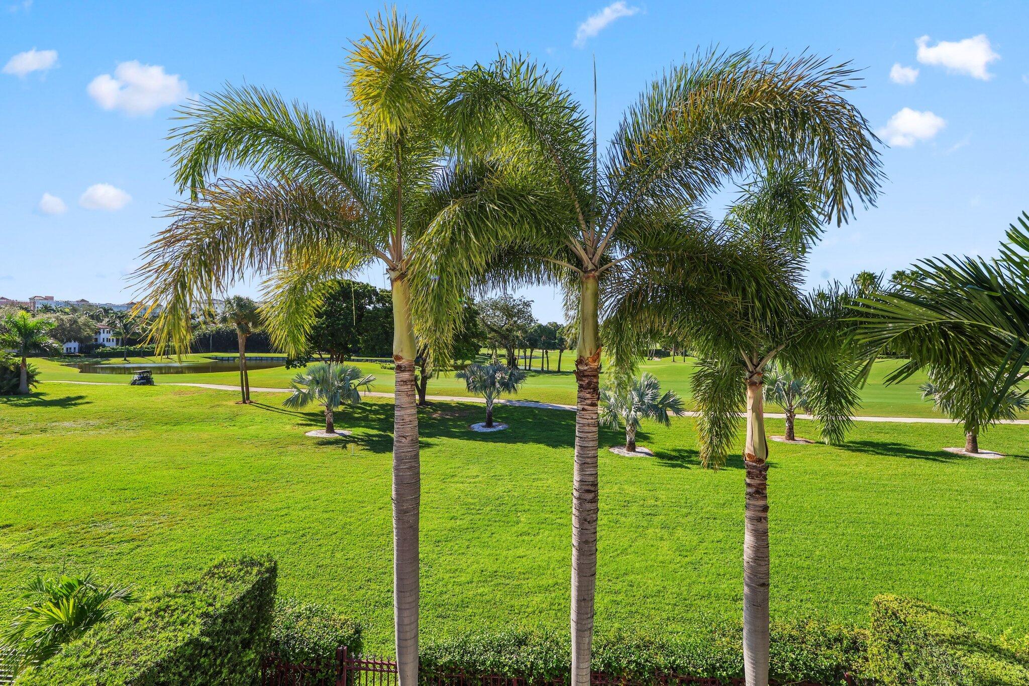 ROYAL PALM VILLAS - Residential