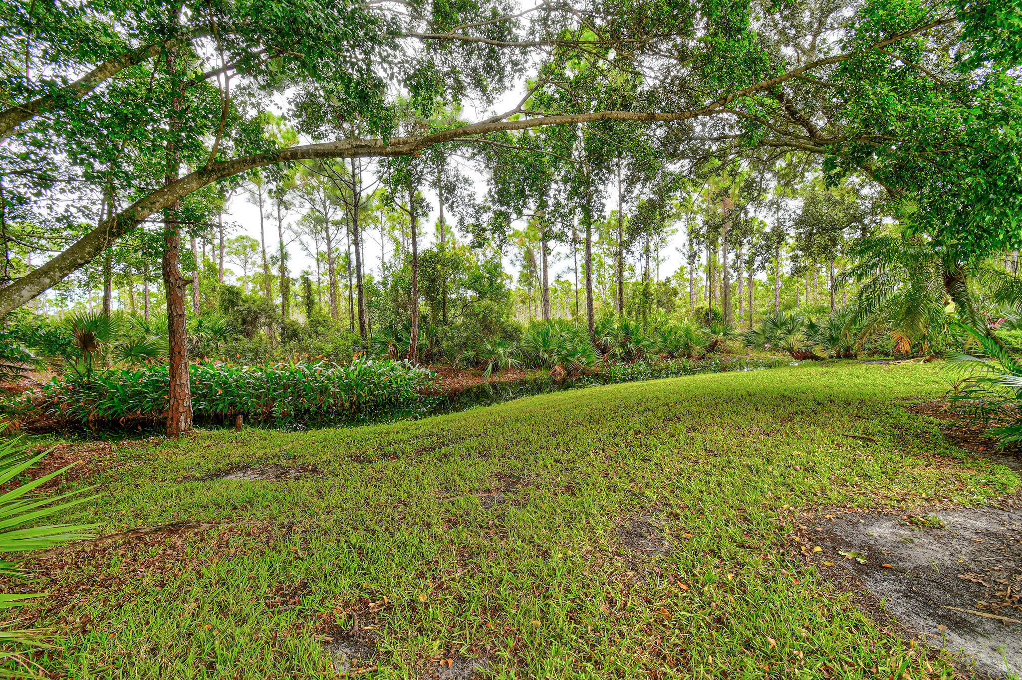 DOUBLE TREE - Residential