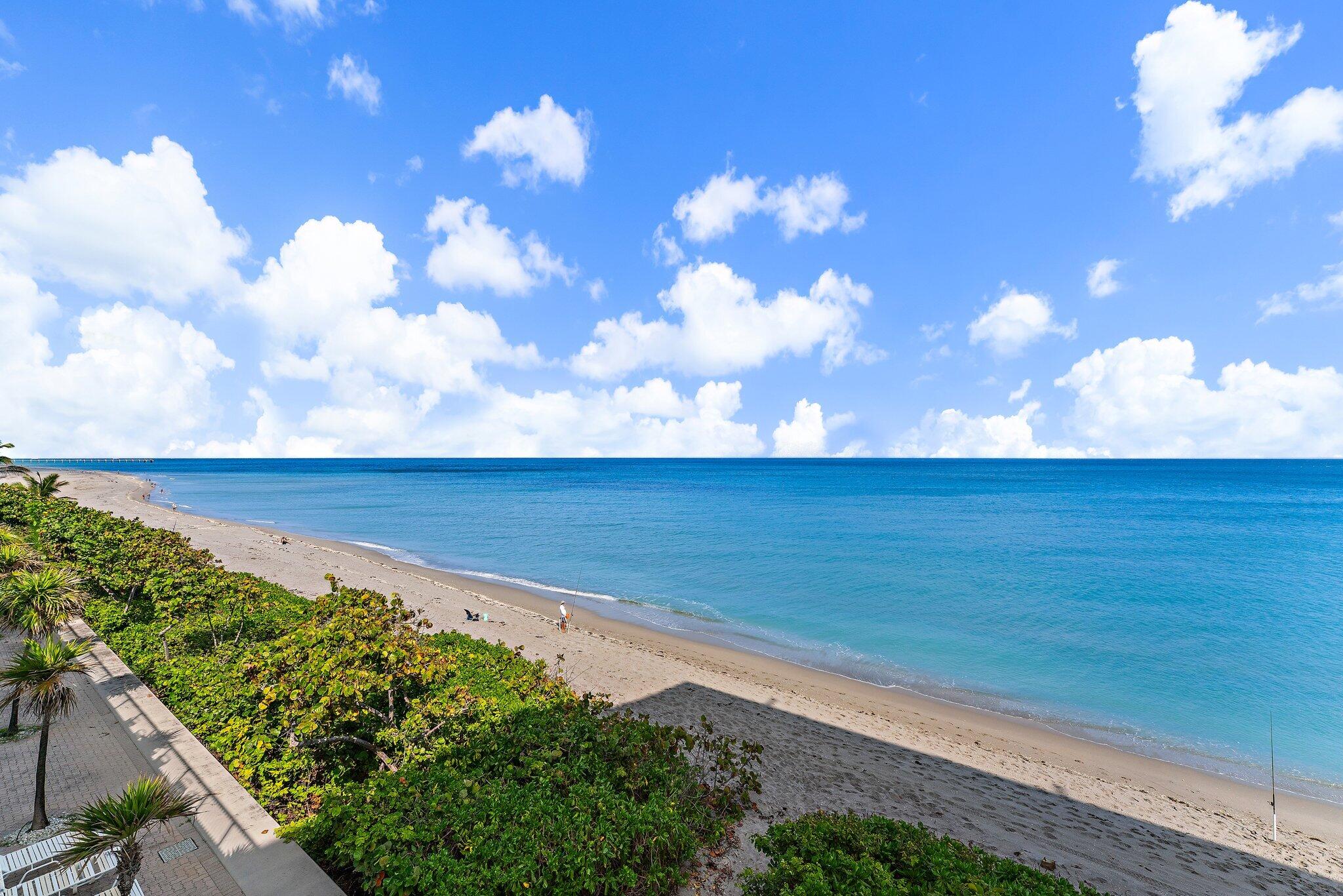 JUNO BY THE SEA NORTH THE SURF CONDO - Residential