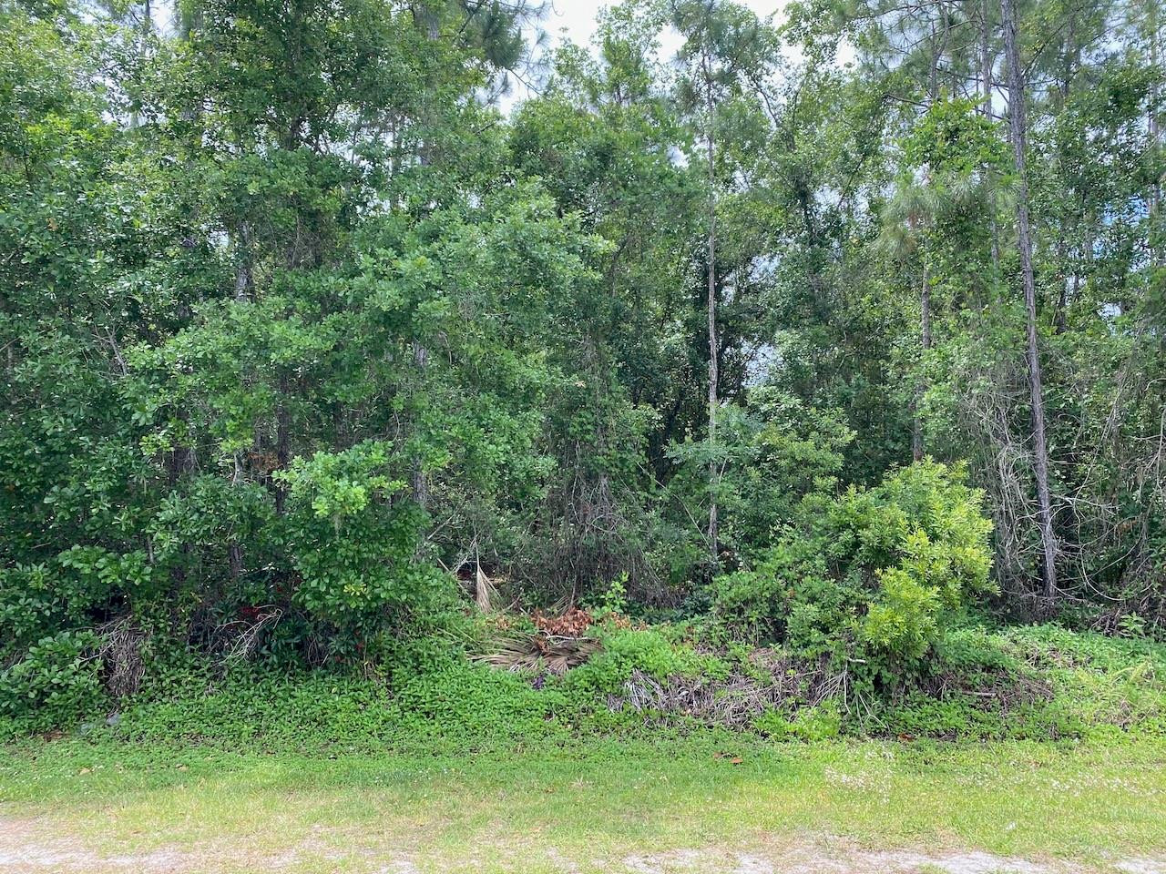 Excellent Location within Indian Lake Estates, close to club house!  Enjoy inexpensive golf on an improved golf course and remodeled Club house!  Have a Great Lunch on the outside Patio at the 19th Hole!  Enjoy a vast view in a peaceful setting!   You will be sold!  Plus you have a 7500 Acre Lake to fish for large mouth Bass! Enjoy the tranquility and being able to see the stars again in this rural setting!  Address is not official, but estimated to assist in Finding Lot with GPS.
