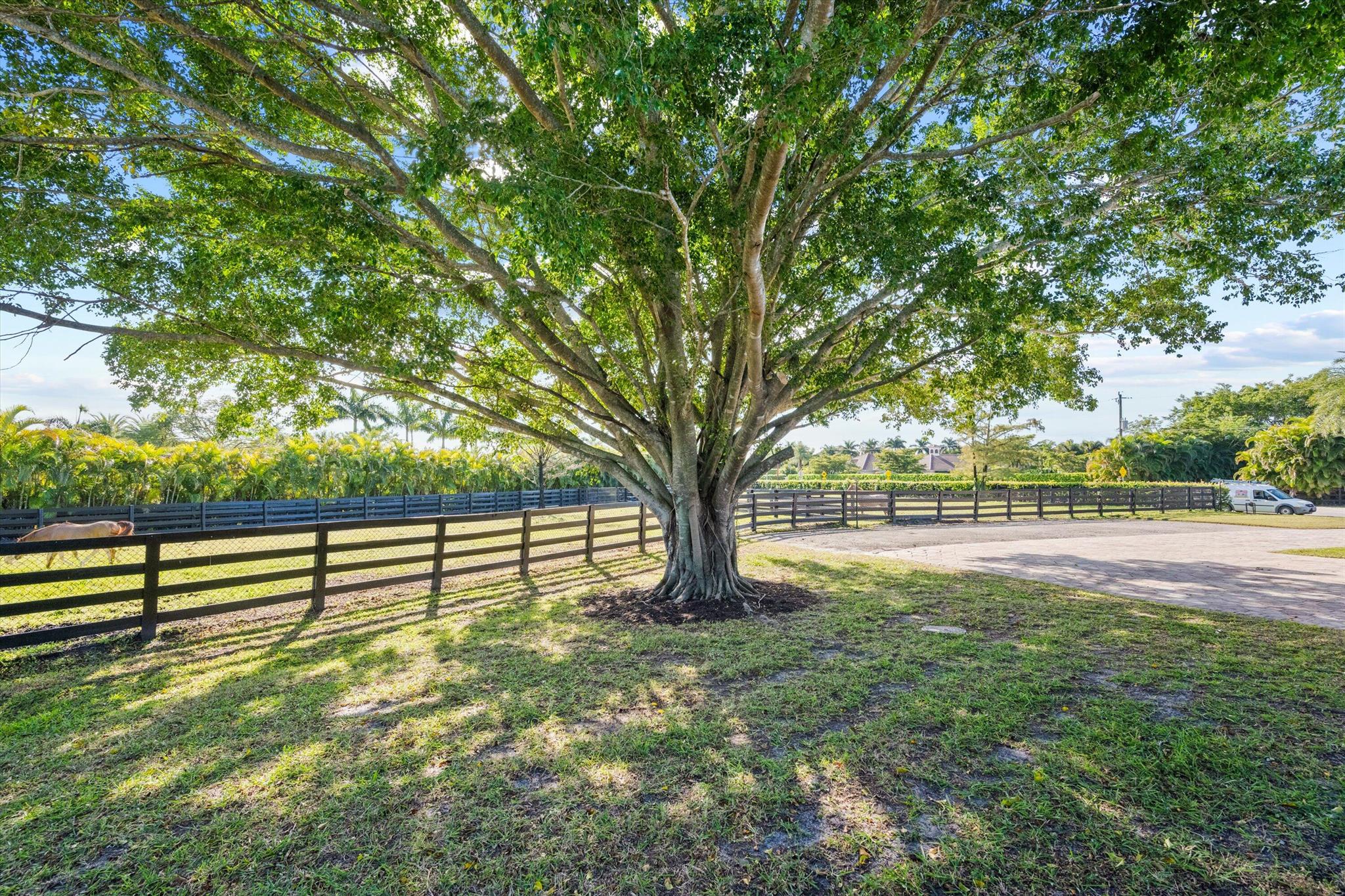 SADDLE TRAIL PARK OF WELLINGTON - Residential
