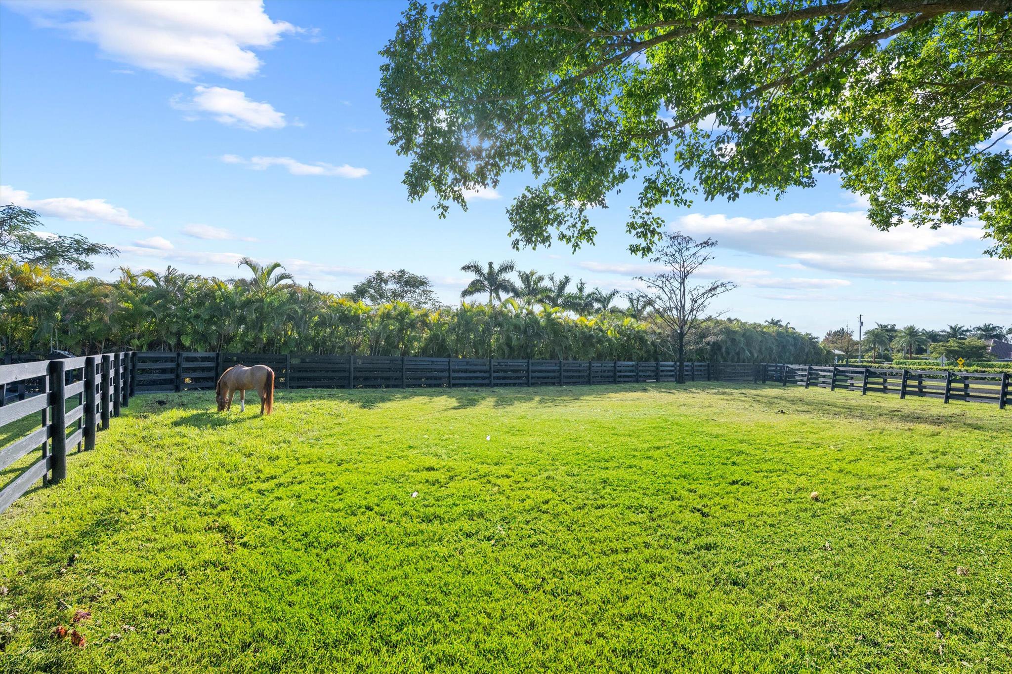 SADDLE TRAIL PARK OF WELLINGTON - Residential