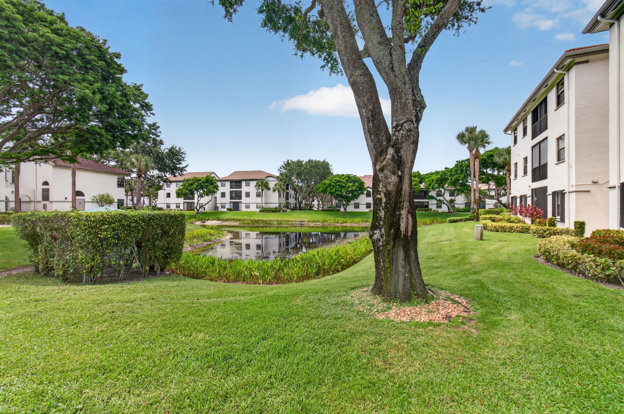 GIARDINO VILLAGE CONDOS - Residential