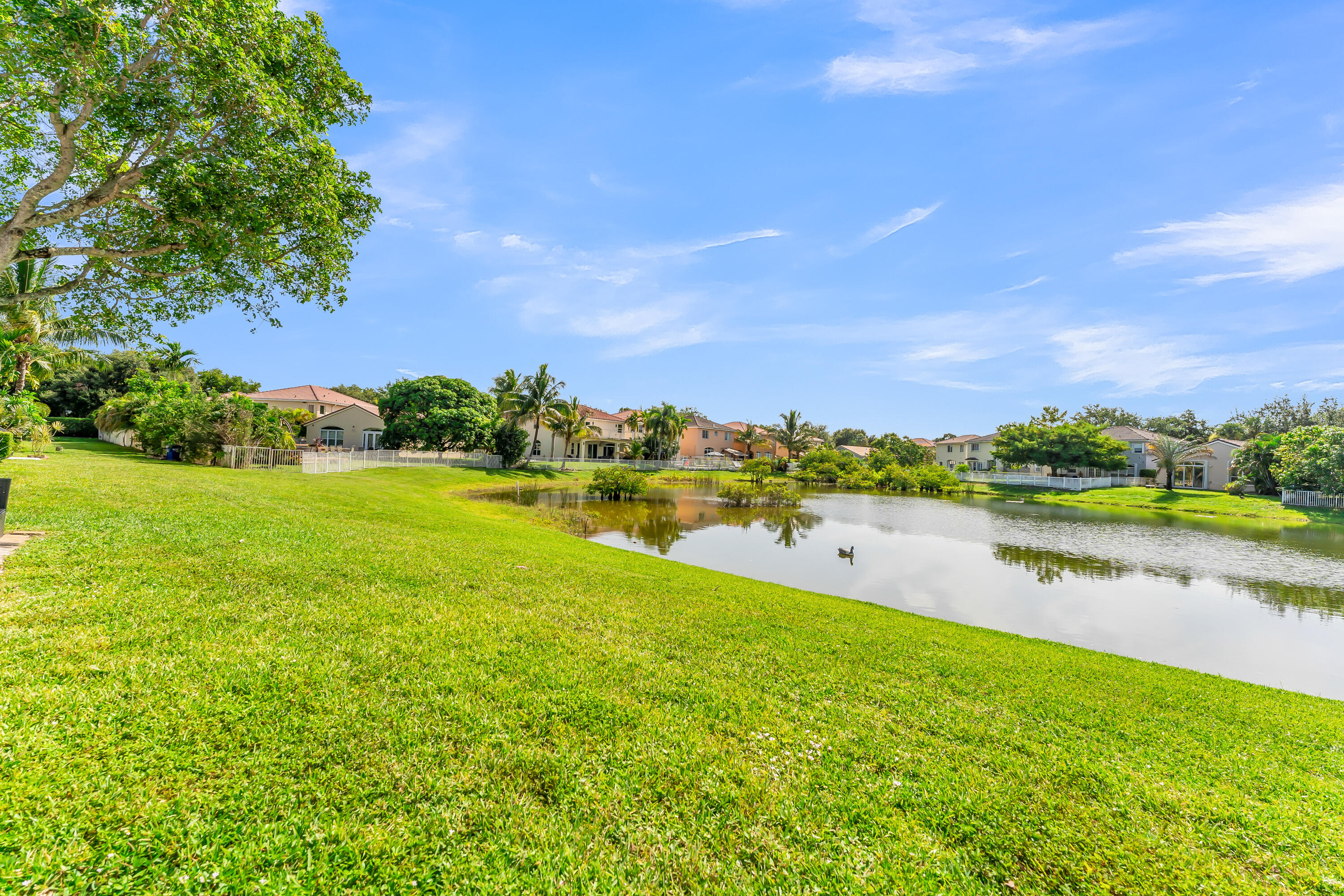 WALNUT CREEK - Residential