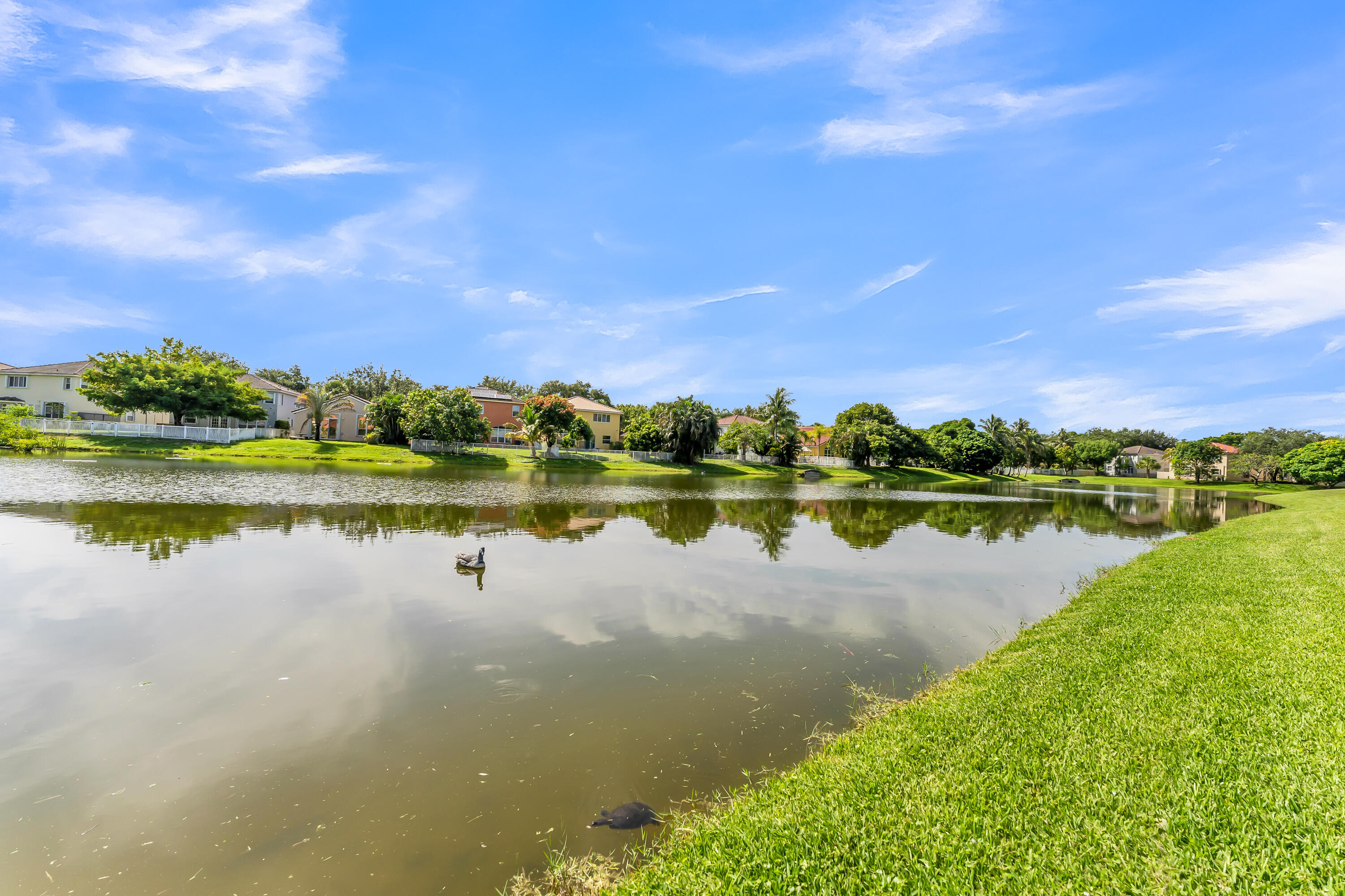 WALNUT CREEK - Residential