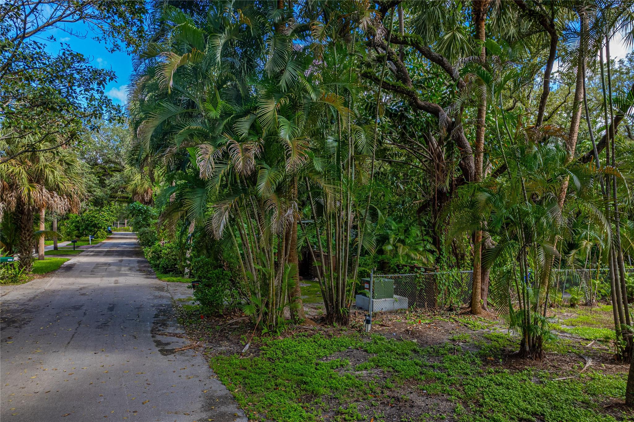 Shady Banks On New River - Land
