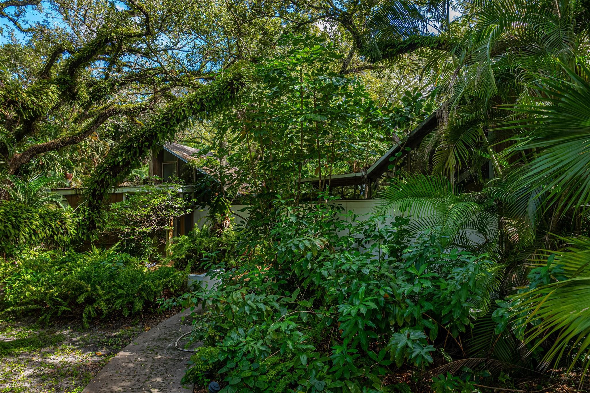 Shady Banks On New River - Land