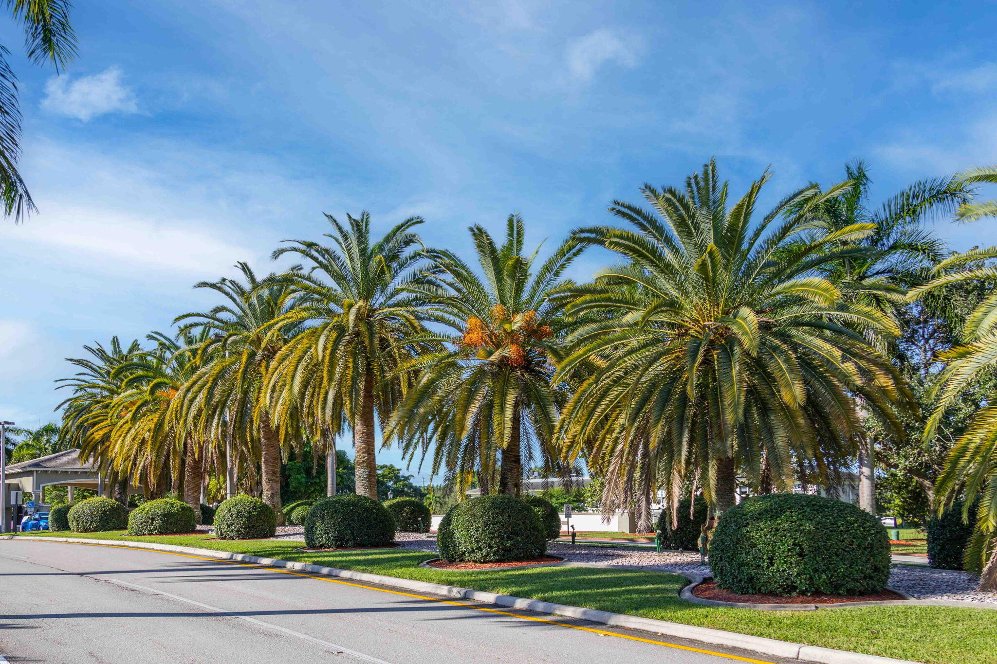 LUCAYA VILLAGE 2-B CONDO - Residential