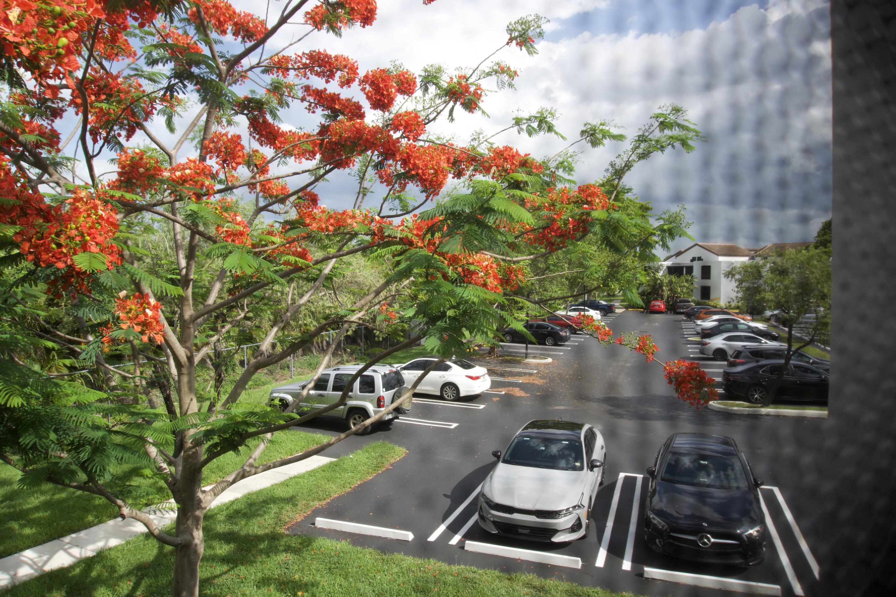 LAKE POINTE CONDOMINIUM NO - Residential Lease
