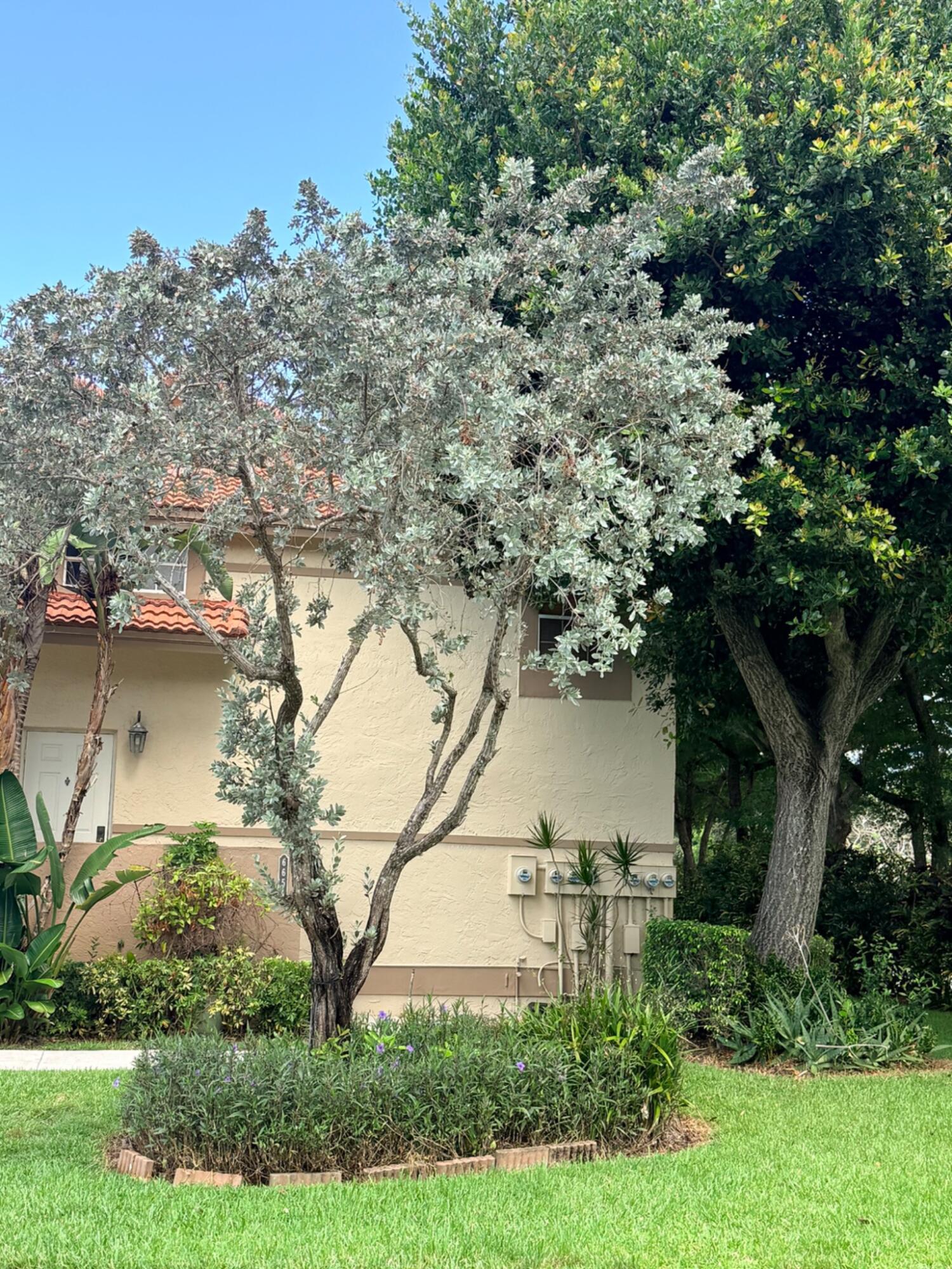 PLUM AT BOCA POINTE CONDOS ONE THRU 15 FILED IN OR - Residential