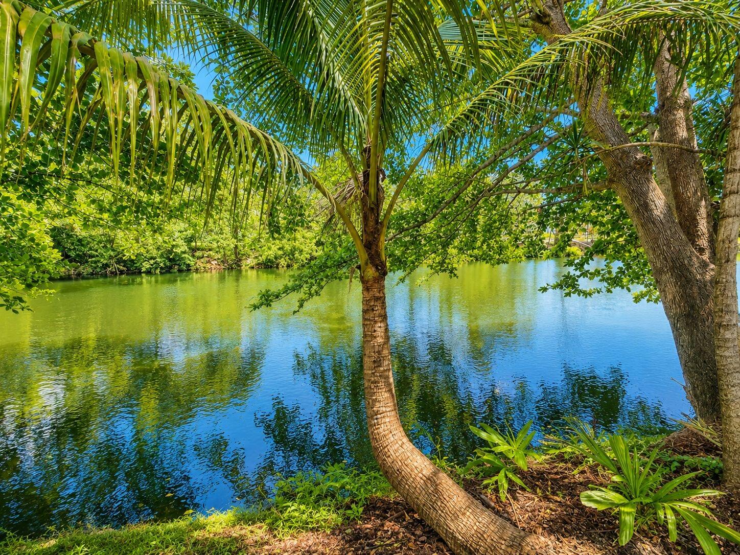 BELLEVUE BISCAYNE - Residential Income