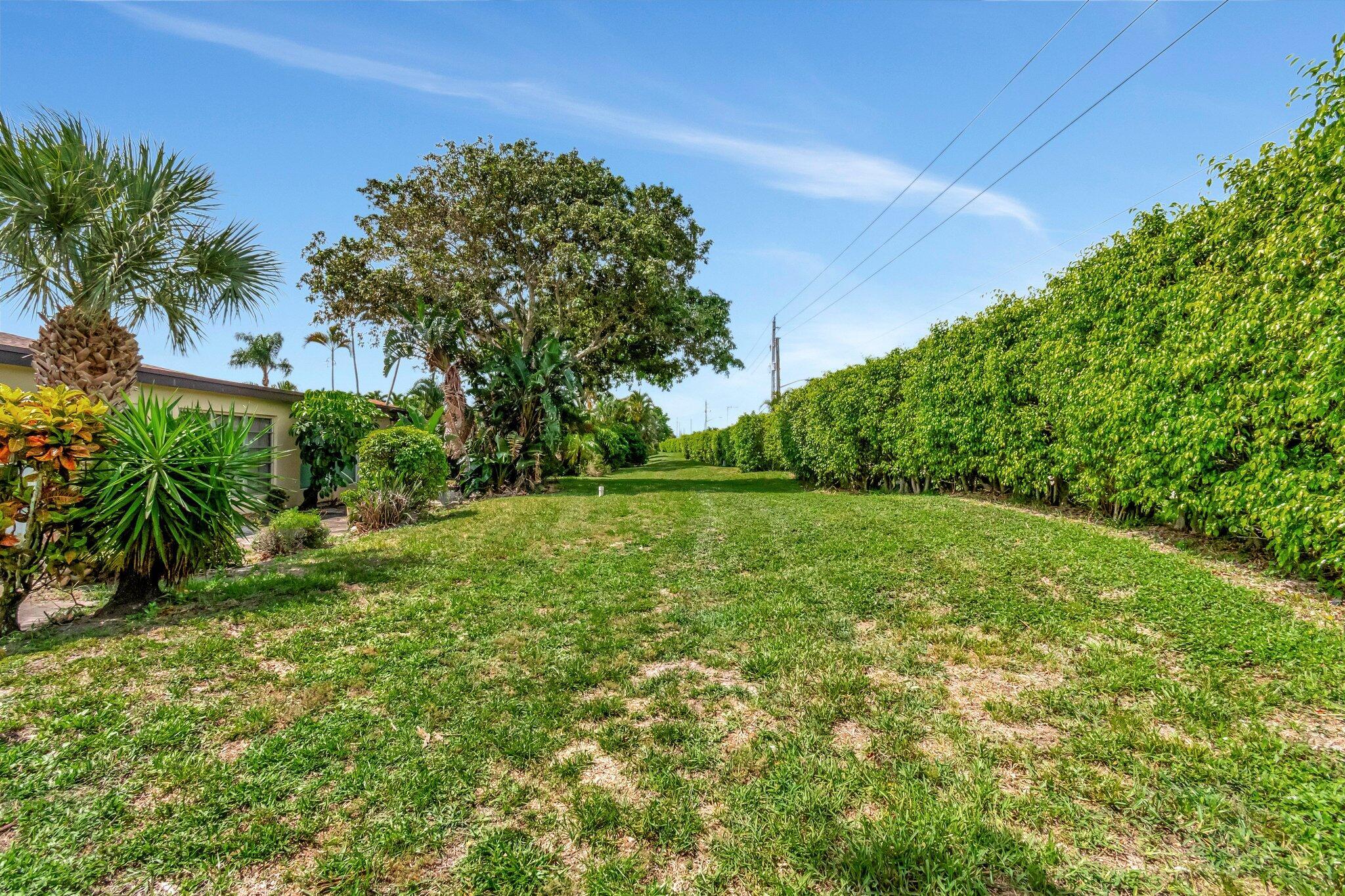 PALM GREENS AT VILLA DEL RAY CONDO II - Residential