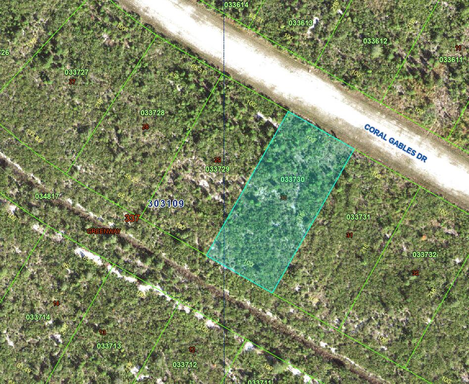 Vacant undeveloped 1/2 acre lot in the wonderful community of Indian Lakes Estates. Community is close to Disney attractions, with a golf course , clubhouse, restaurant, pool, pickle ball, tennis courts, bingo, movie nights. What a great place to live.. Call agent for more information.