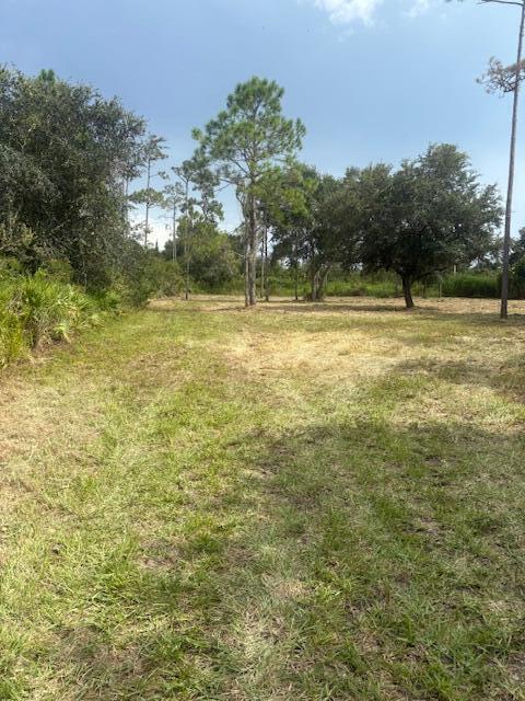 Indian Hammock Hunt and Riding Club - Land