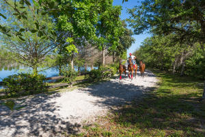 LAS PALMAS RANCH - Residential